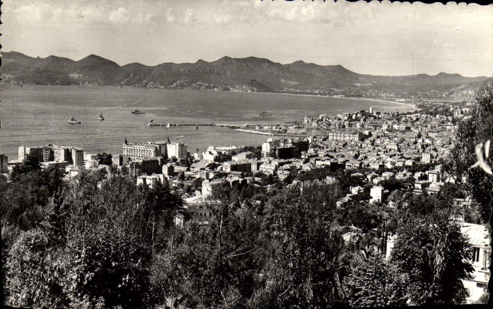 VINTAGE POSTCARD Cannes View Taken of Super Cannes