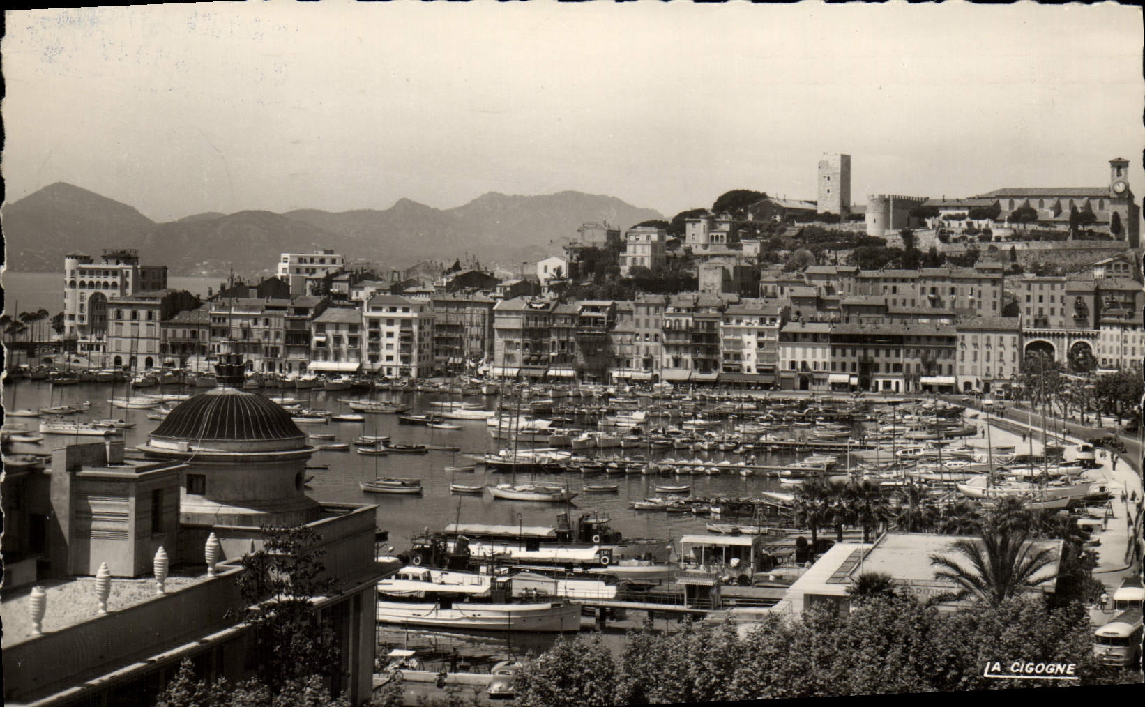 VINTAGE POSTCARD Cannes the Port and Suquet With Far Esterel
