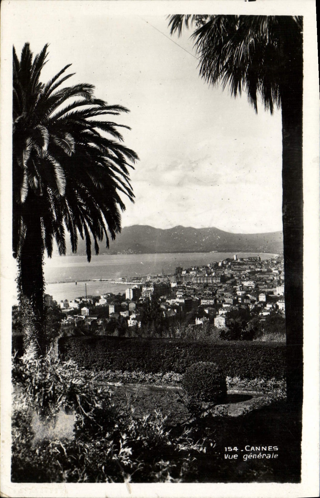 CPA Cannes Vue generale