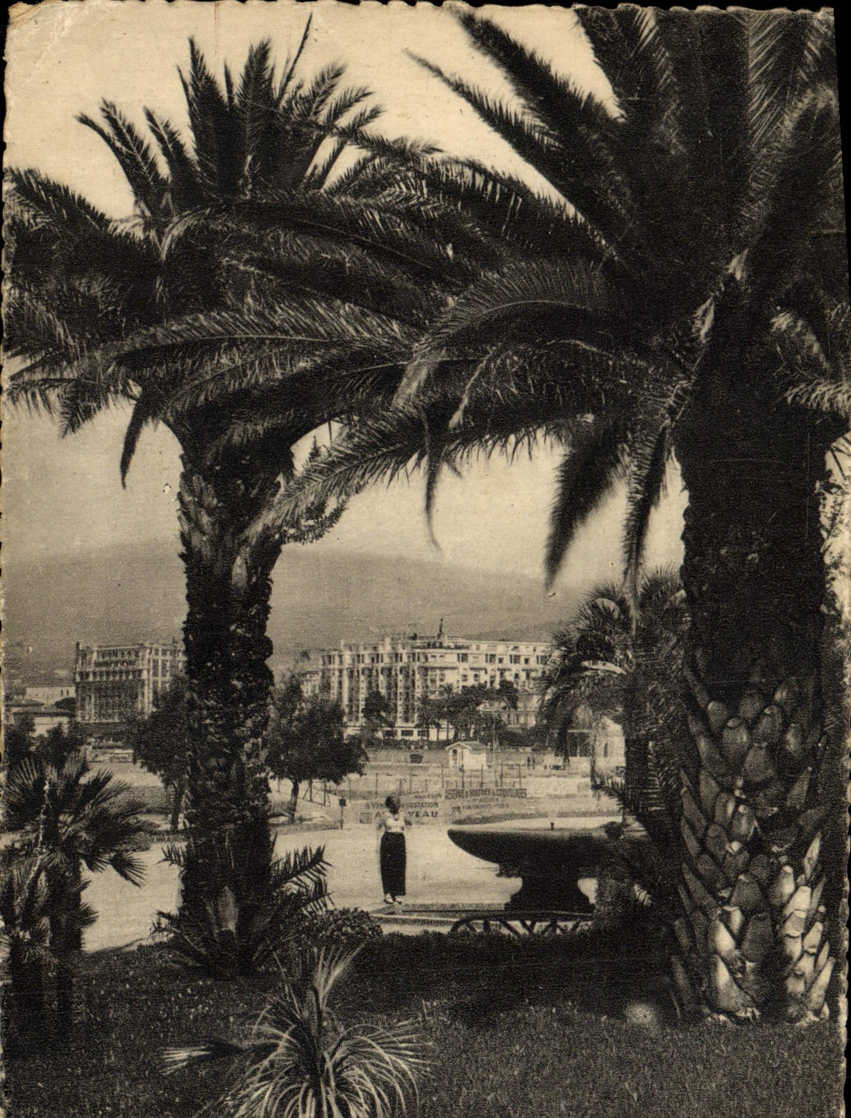 CPA Cannes Le Parc Albert 1er