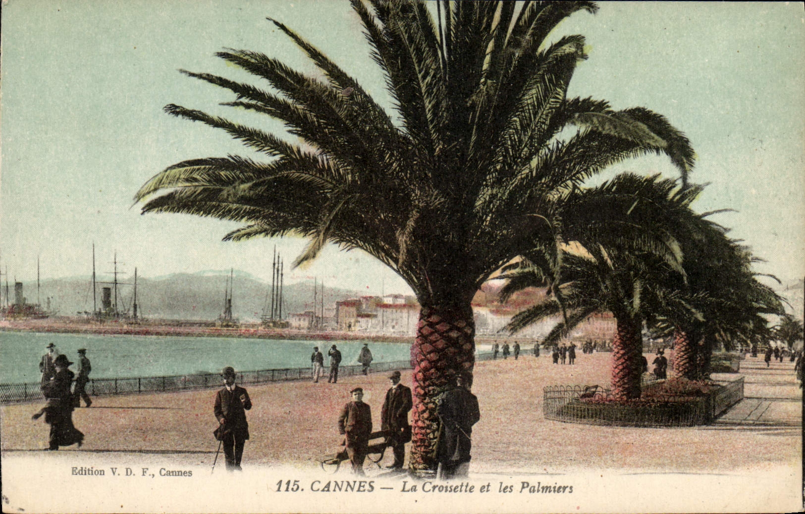 VINTAGE POSTCARD Cannes the Small cross and Palm trees