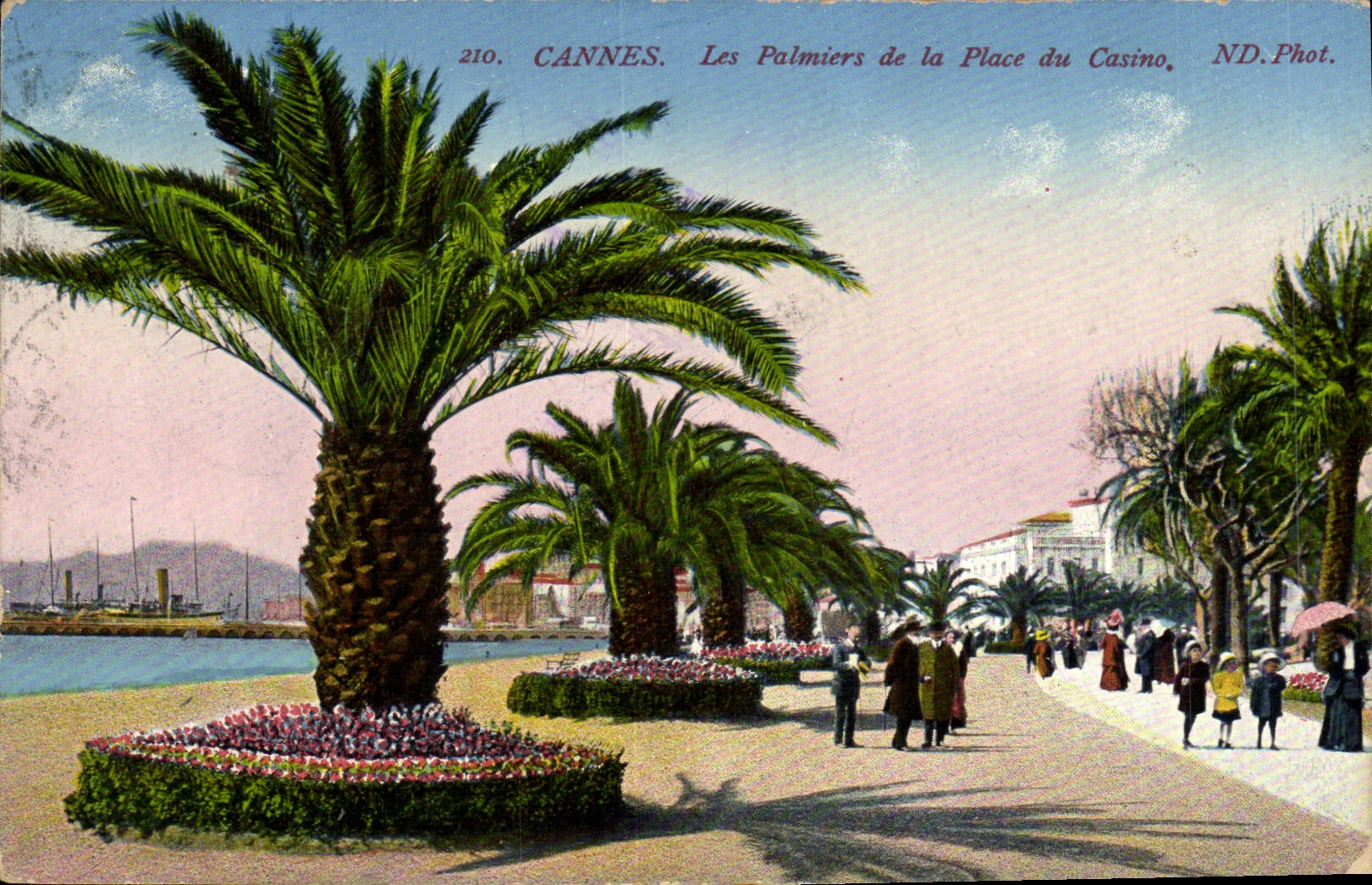 VINTAGE POSTCARD Cannes Palm trees of the Place Of the Casino