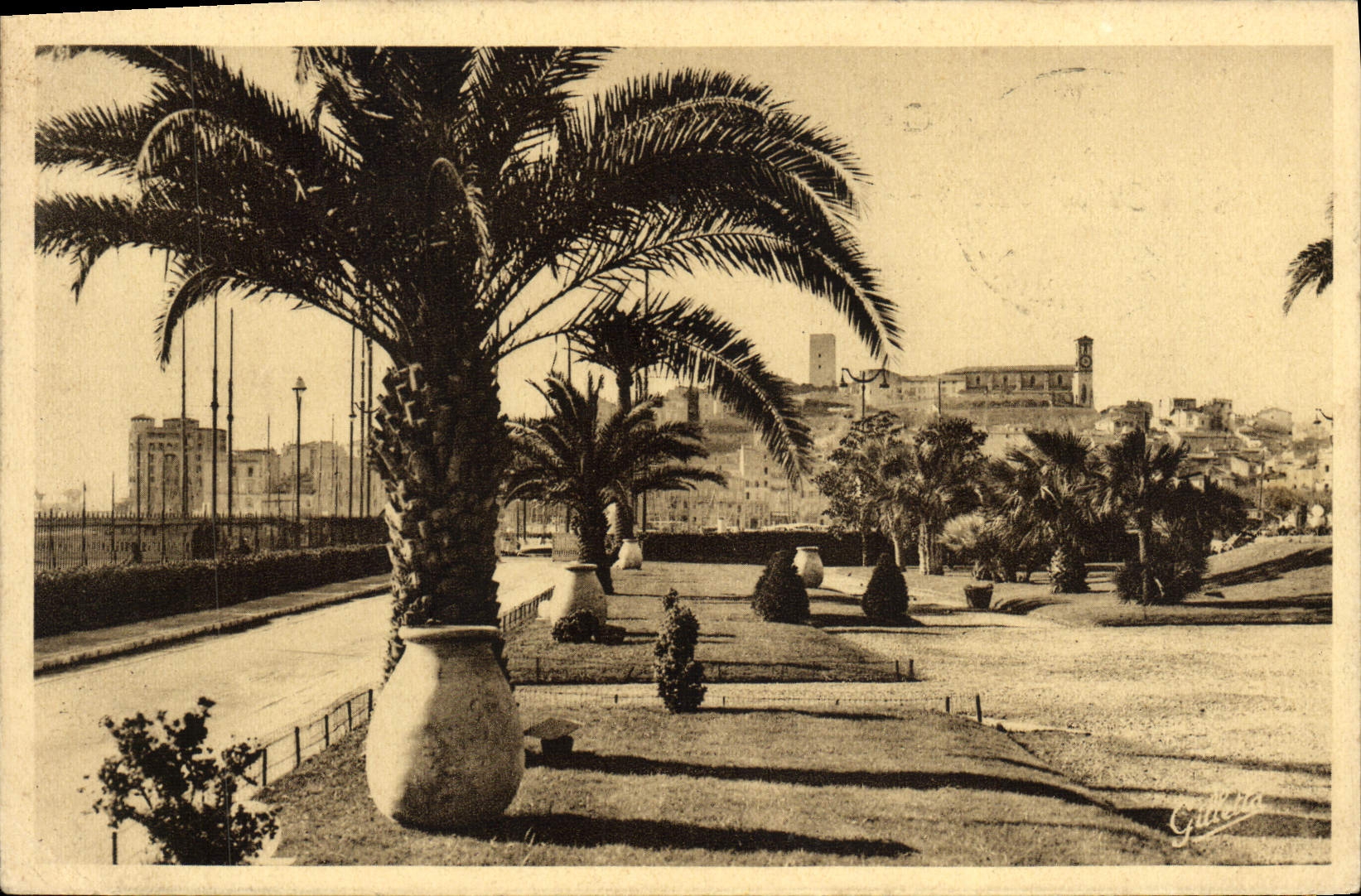 VINTAGE POSTCARD Cannes Gardens