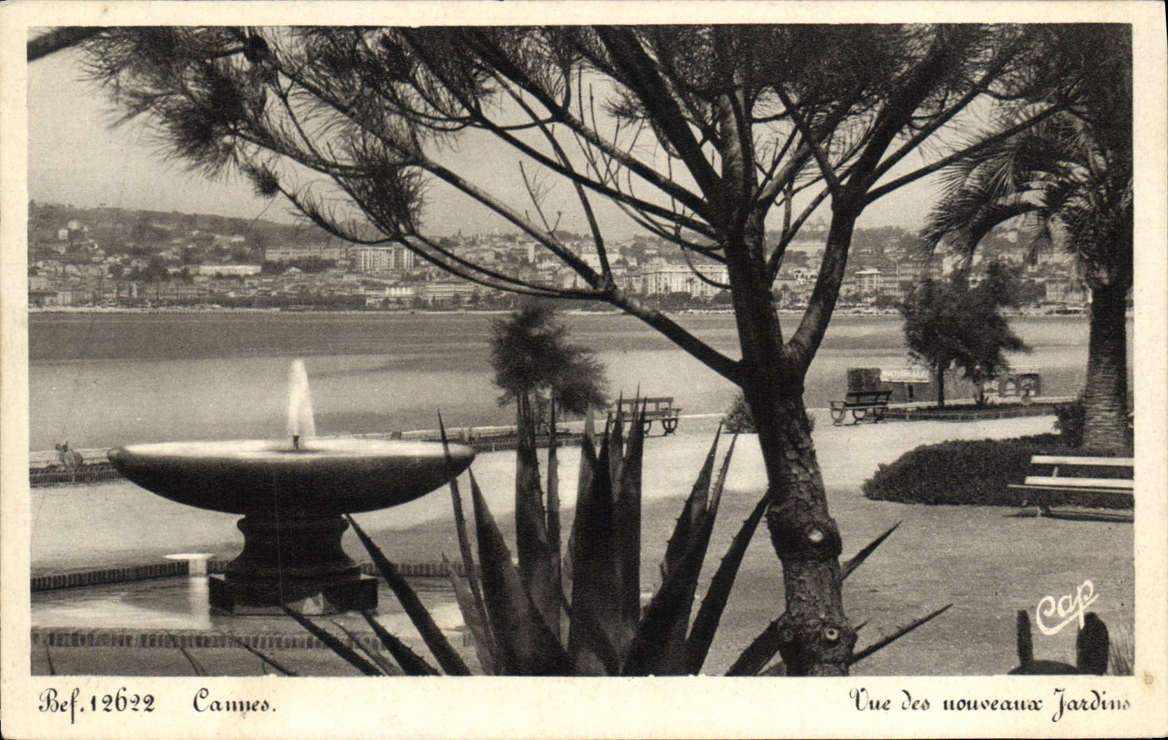 CPA Cannes Vue des nouveaux Jardins