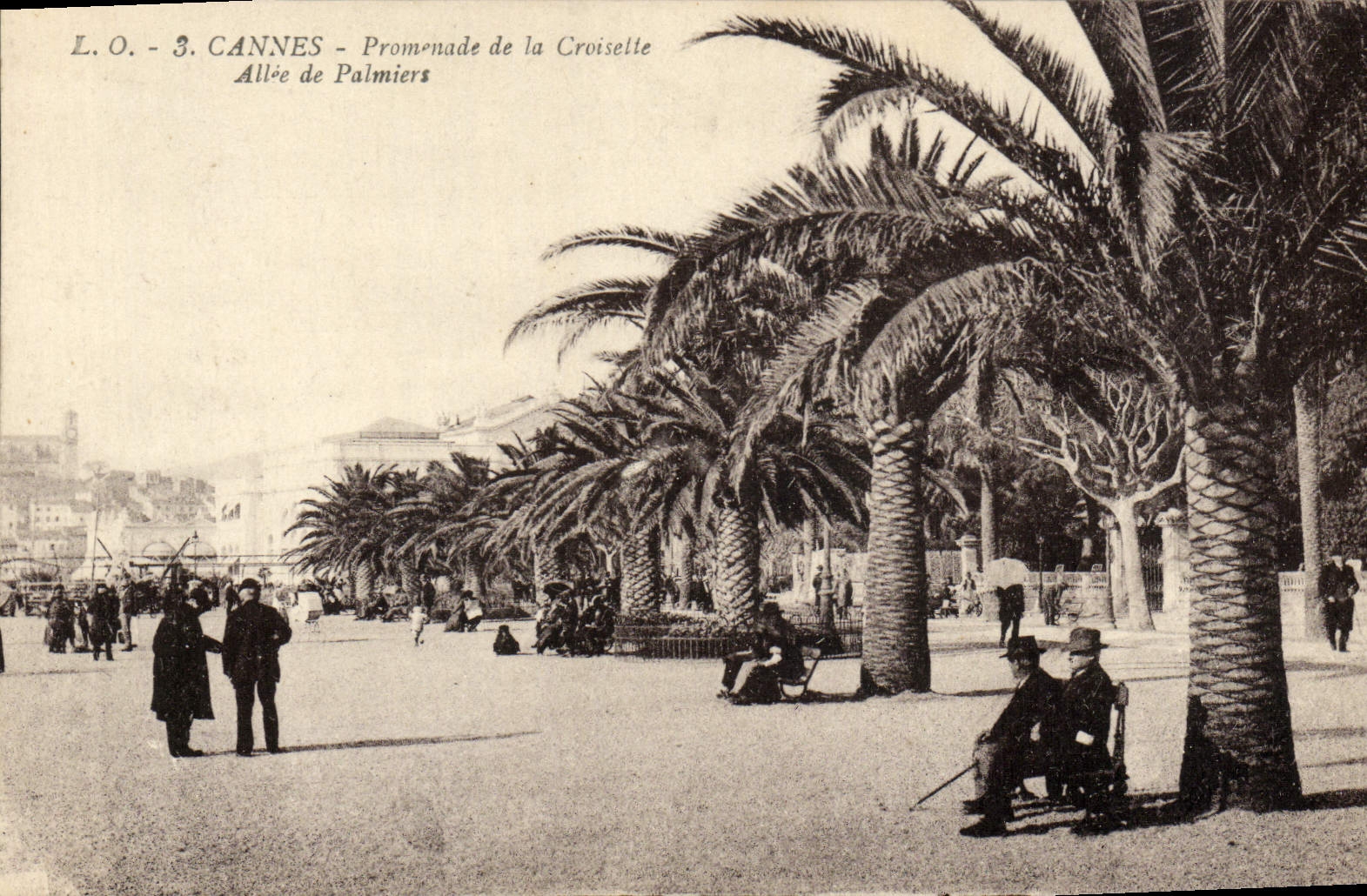 VINTAGE POSTCARD Cannes Walk of the Gone Small cross of Palm trees