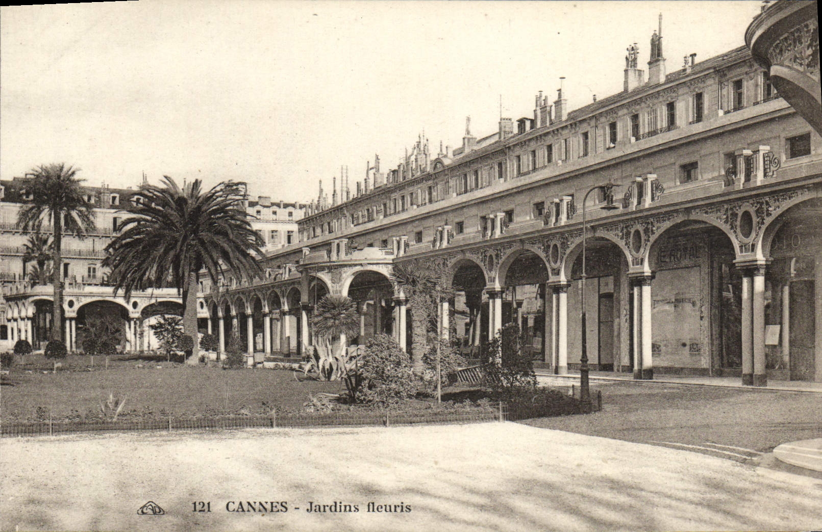 VINTAGE POSTCARD Cannes flowered Gardens