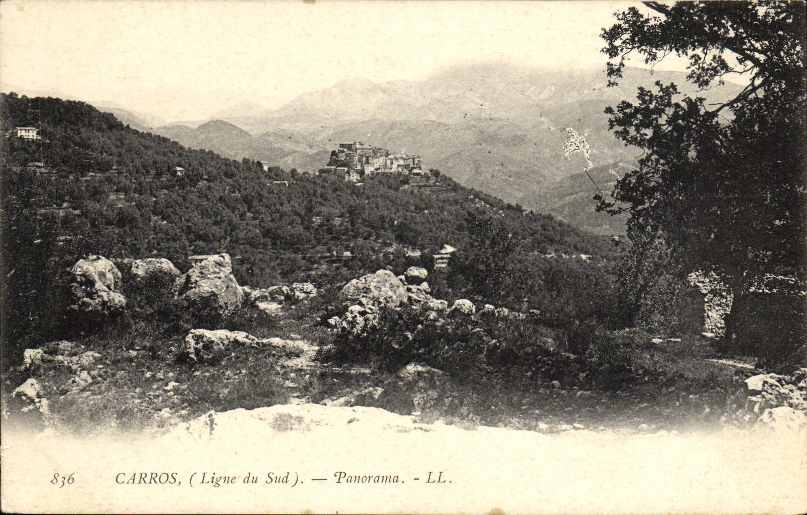 VINTAGE POSTCARD Carros Panorama