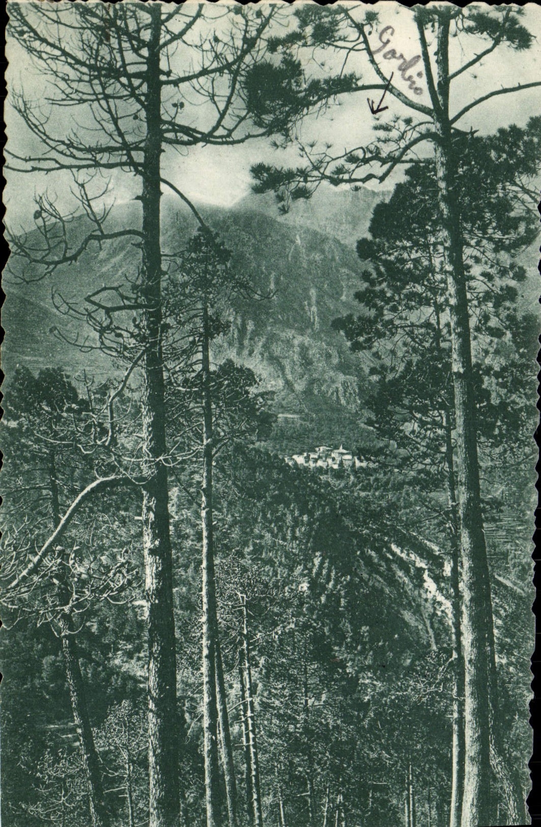 VINTAGE POSTCARD Small valley of Gorbio