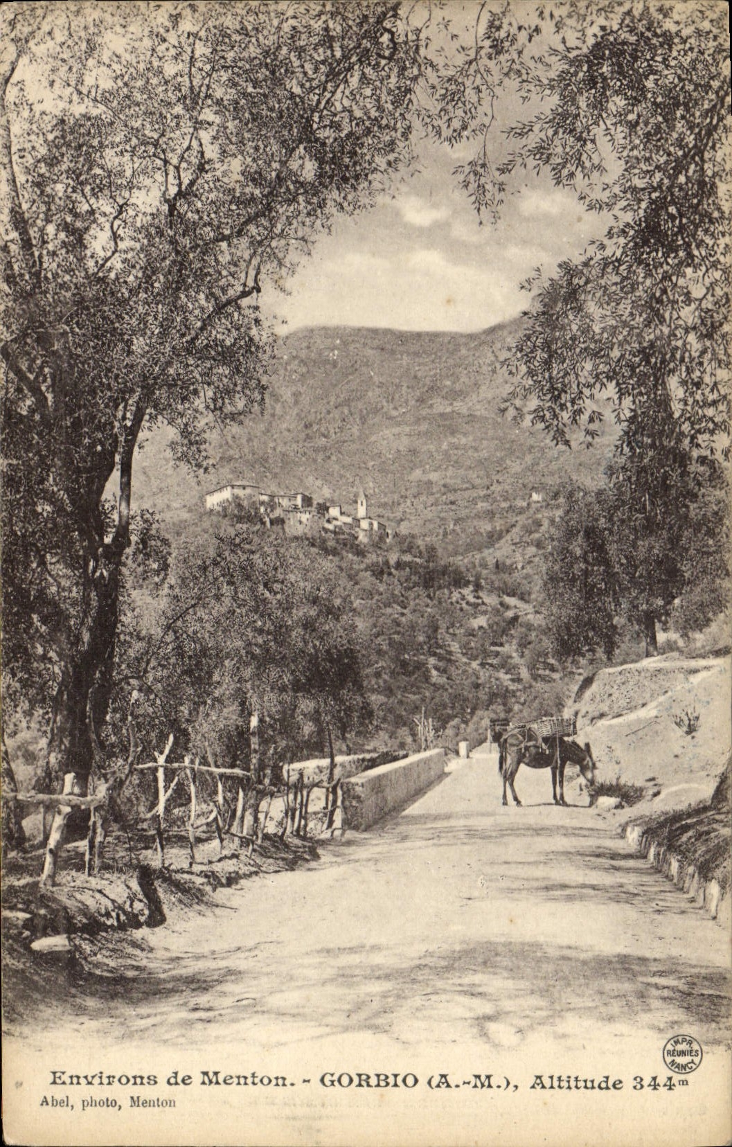 VINTAGE POSTCARD Surroundings of Menton Gorbio Ass Mule