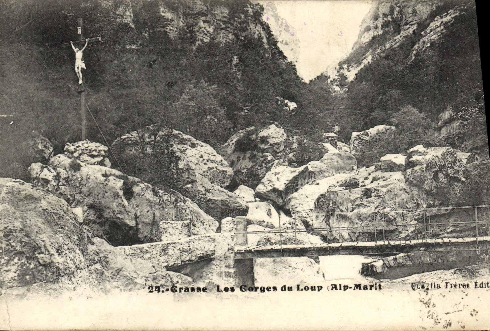 Catarata grasa de la POSTAL de la VENDIMIA del lobo