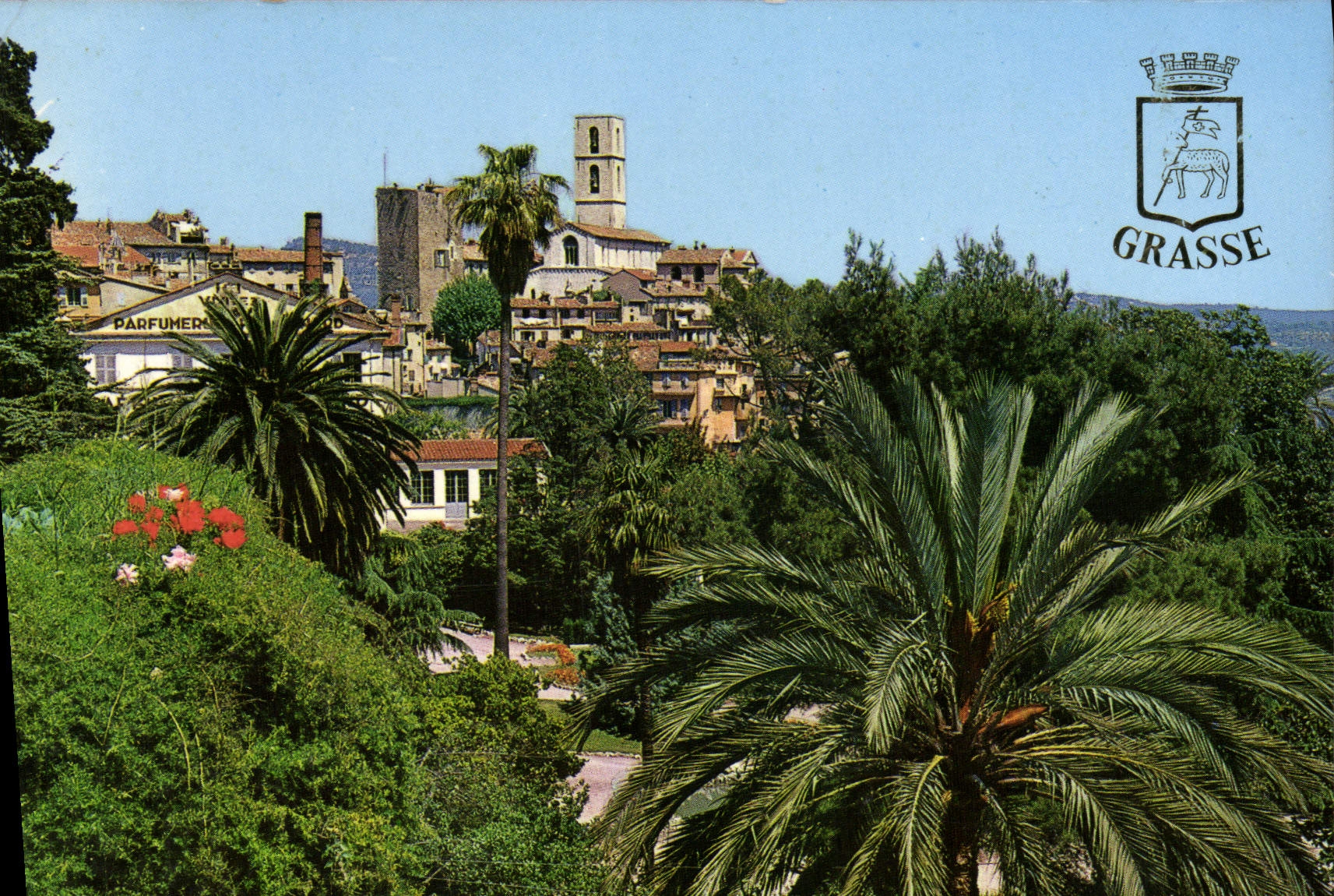 POSTAL MODERNA dimensión grasa de riviera francesa azul ISCED del capital de las flores de los perfumes