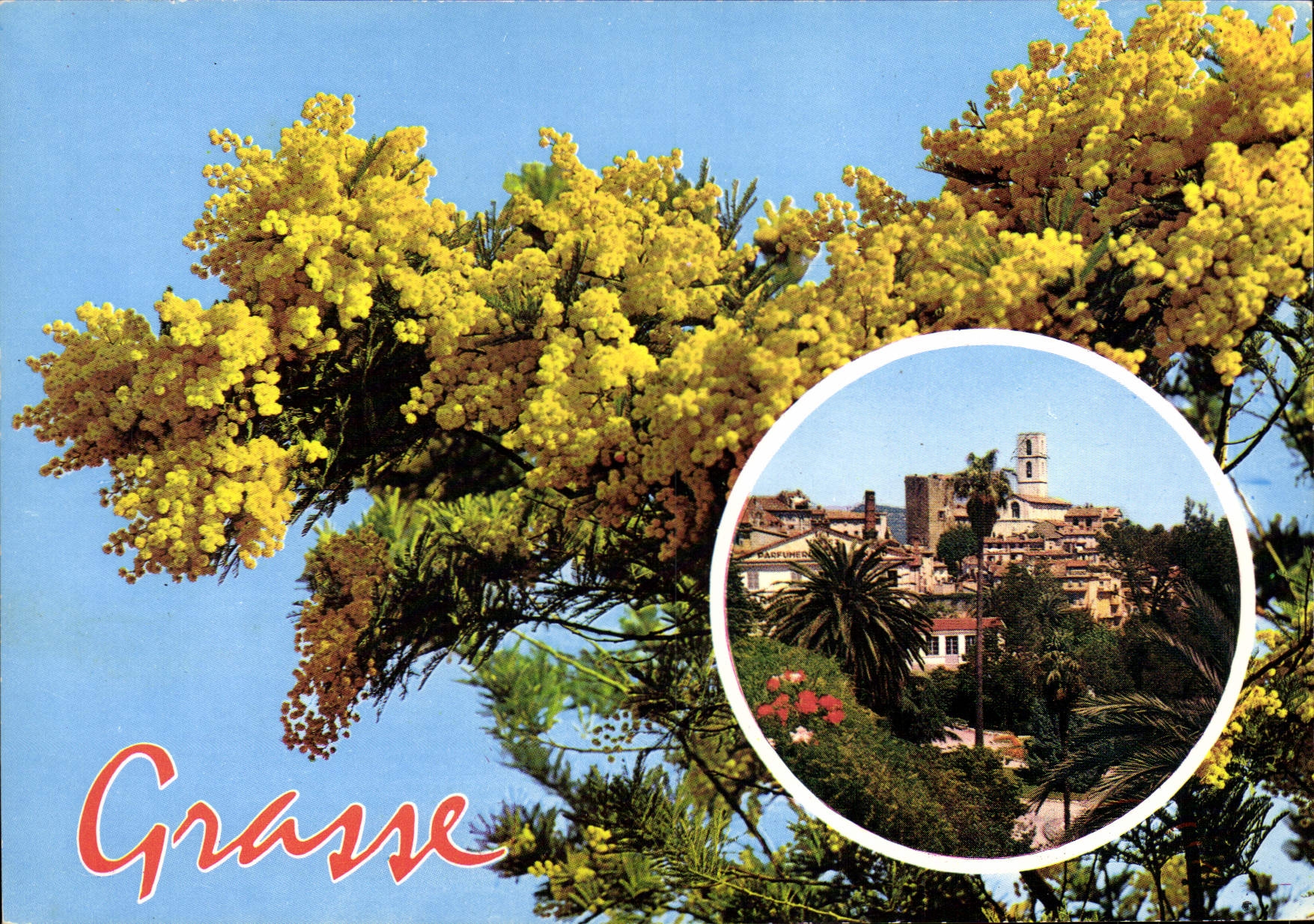 POSTAL MODERNA ISCED graso de las flores