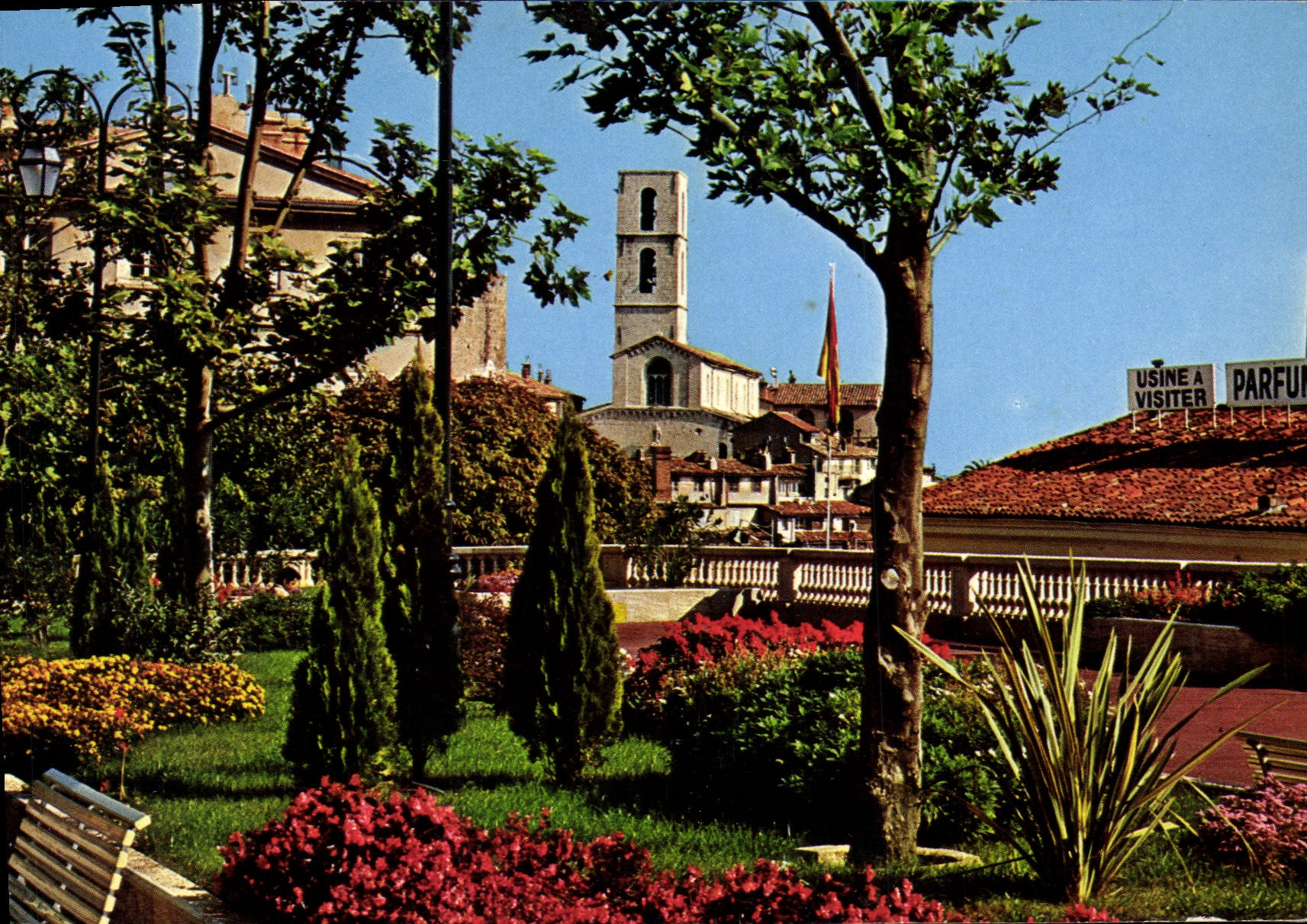 POSTAL MODERNA jardines grasos del curso y de la catedral