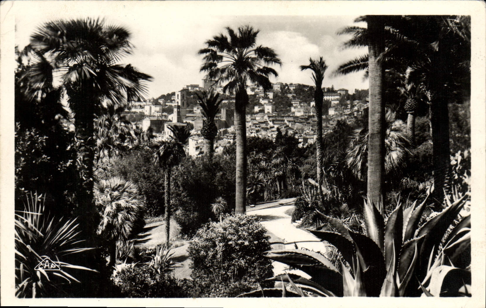 Hotel luxe del hotel del De del parque graso de la POSTAL de la VENDIMIA una esquina del parque