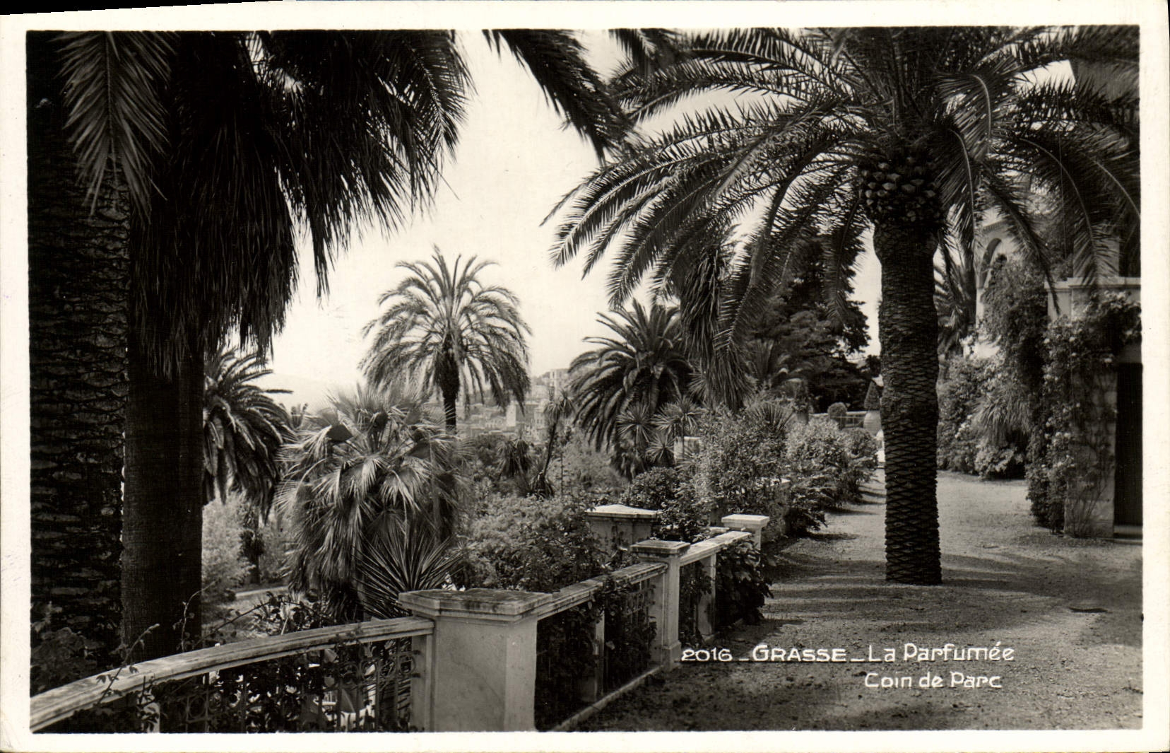 Esquina grasa de Parfumee de la POSTAL de la VENDIMIA del parque