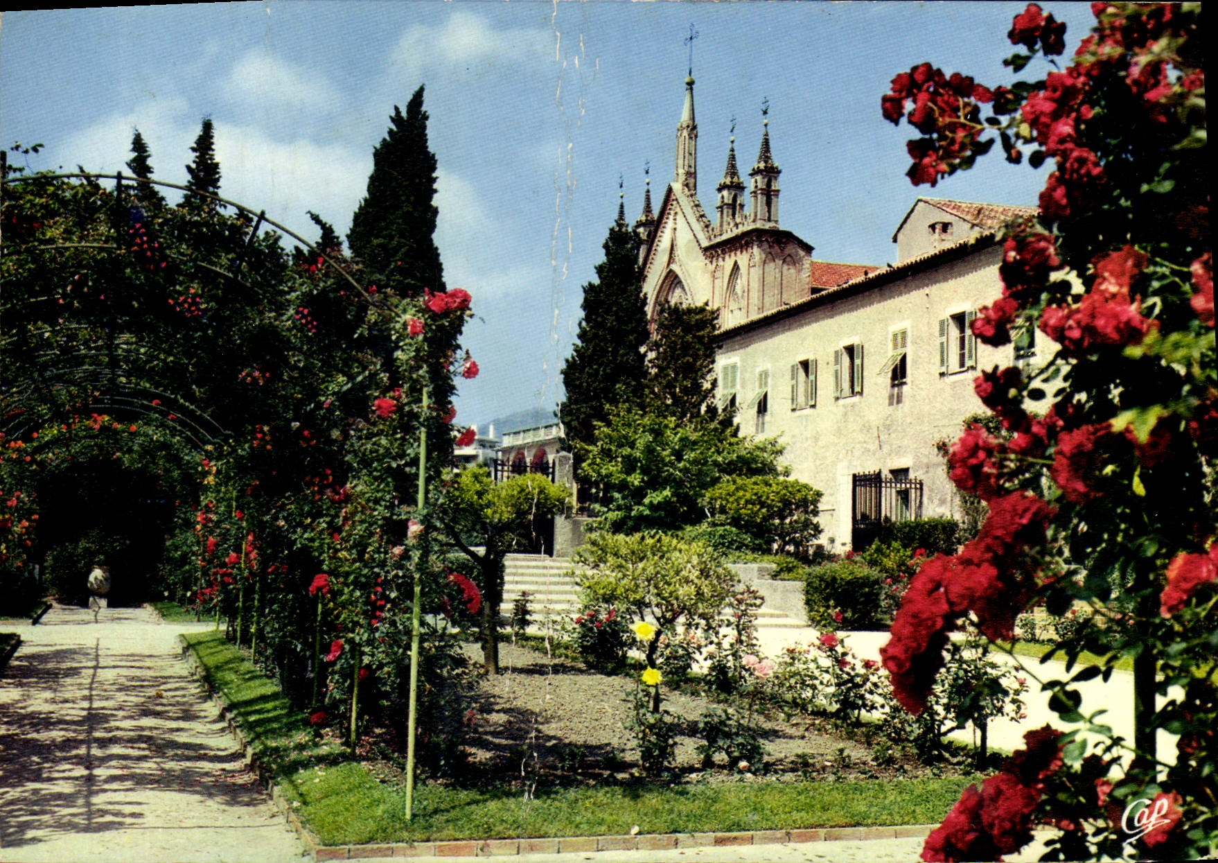 CPM Nice Capitale Mondiale du Tourisme La roseraie dans les jardins du monastere de Cimiez