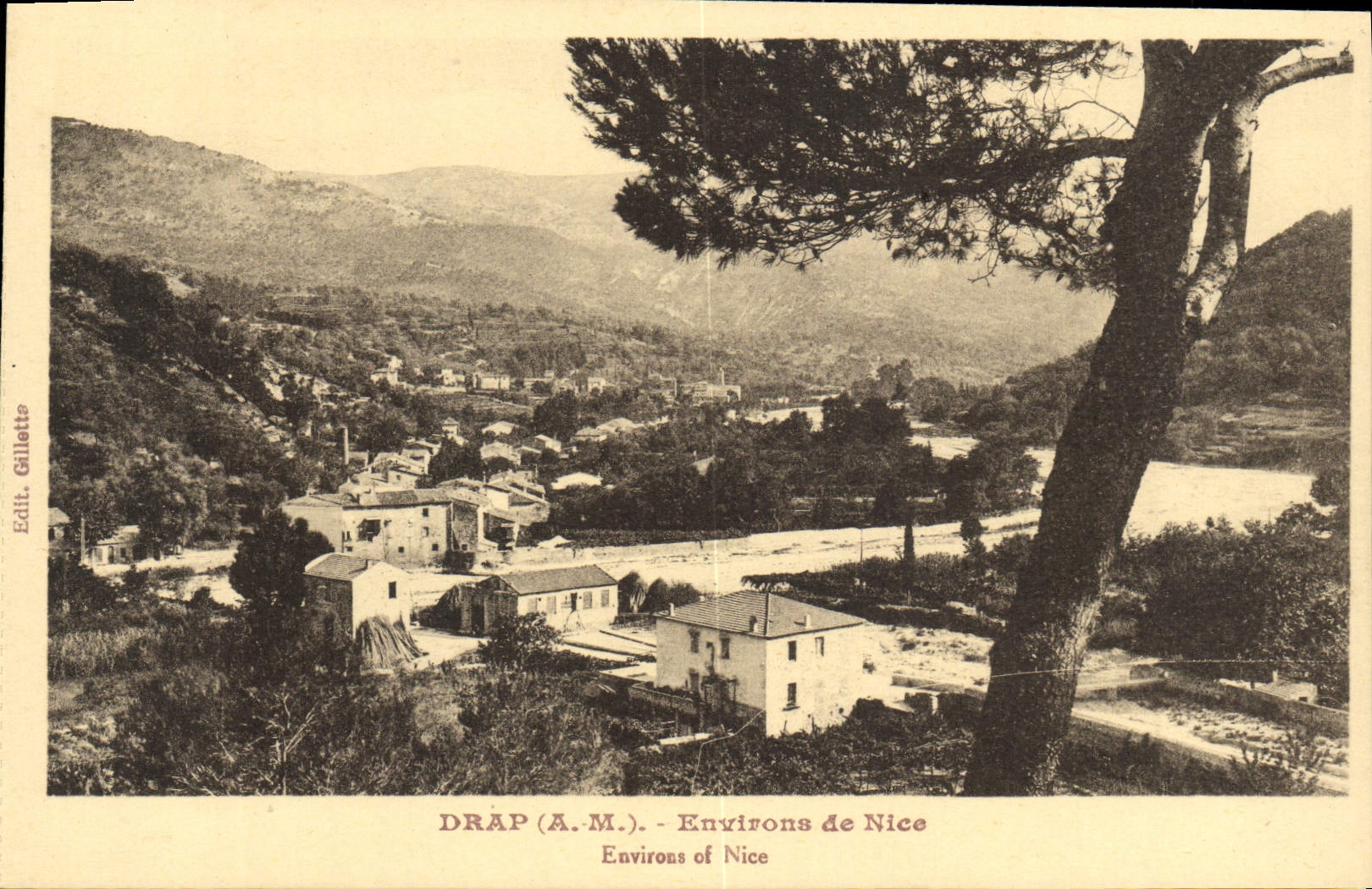CPA Drap Environs de Nice 