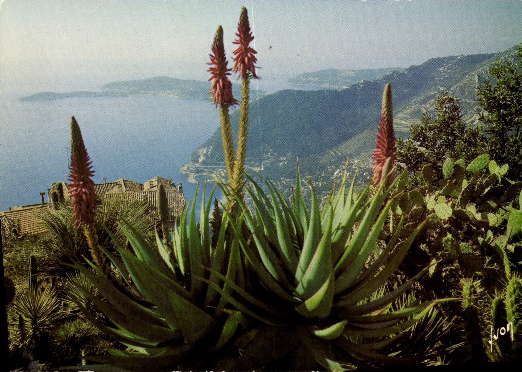 POSTAL MODERNA aldea de Eze el jardín exótico hacia el cabo Ferrat de la playa y Saint de Jean de Eze
