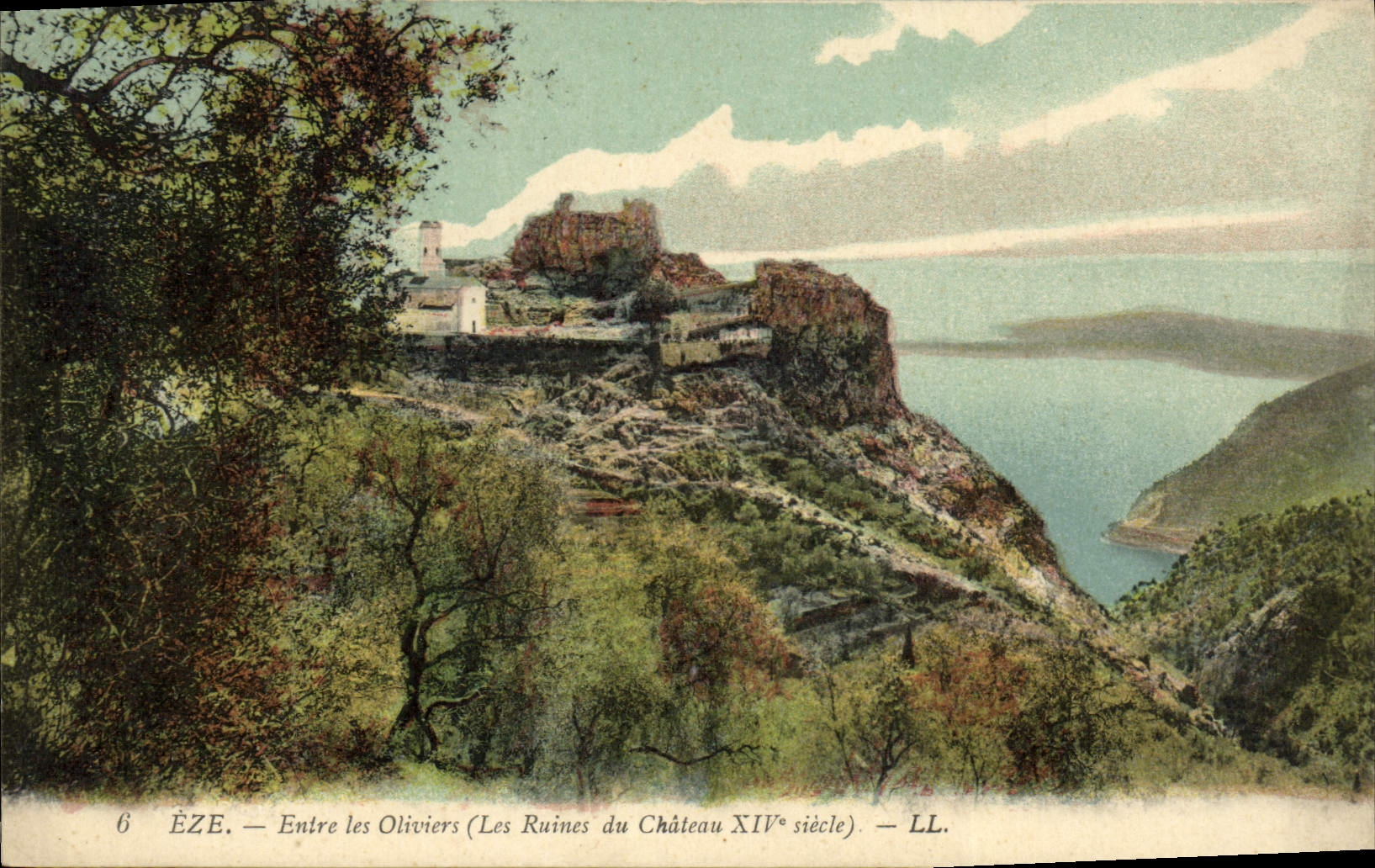 La POSTAL Eze de la VENDIMIA entra en los Aceituna-árboles