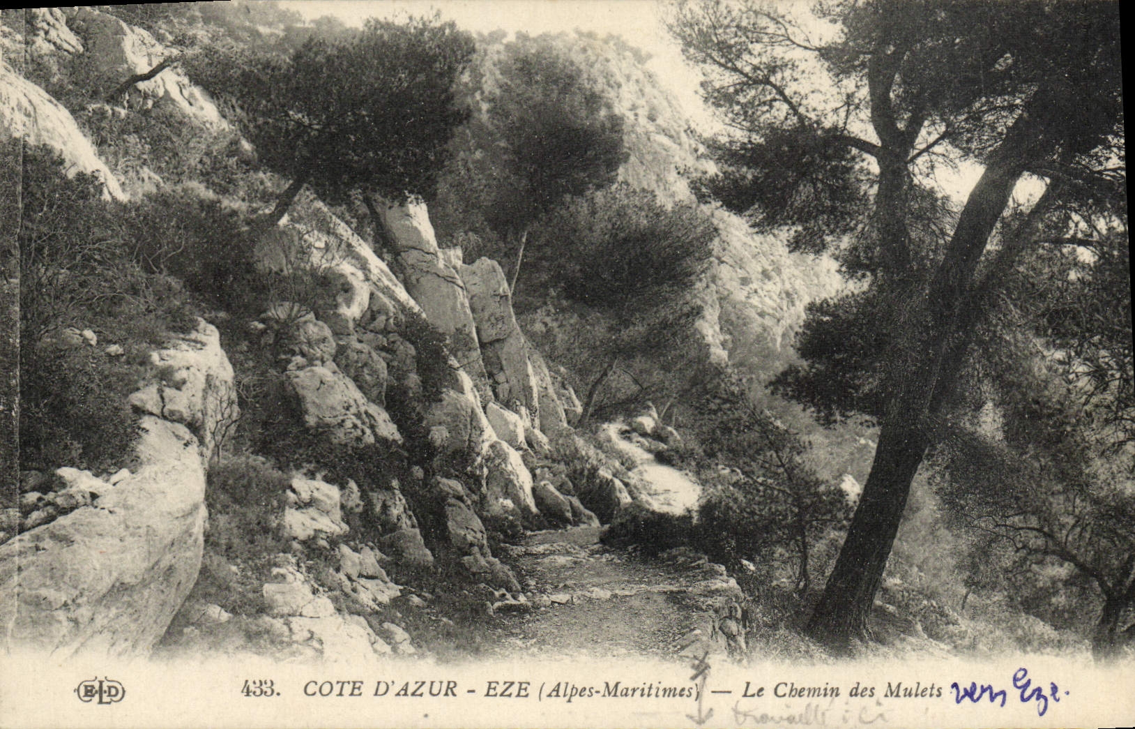 CPA Eze Le Chemin des Mulets 