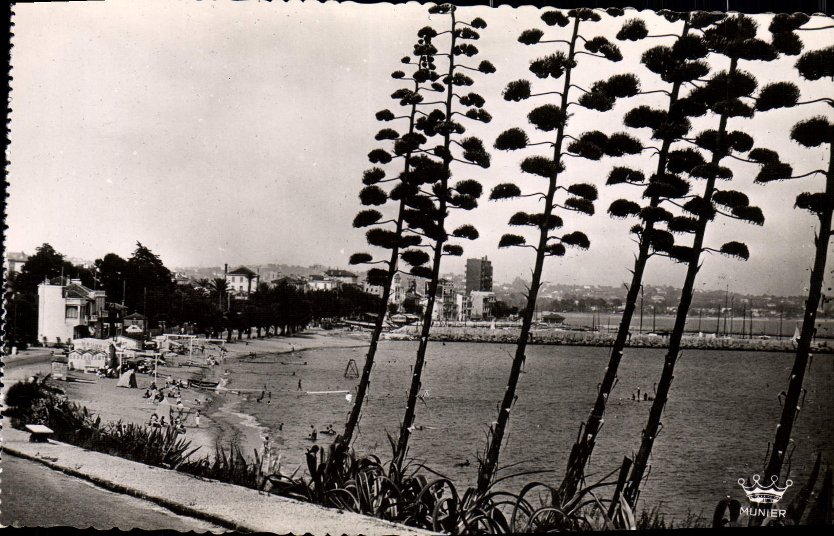 CPM Golfe Juan La Plage 