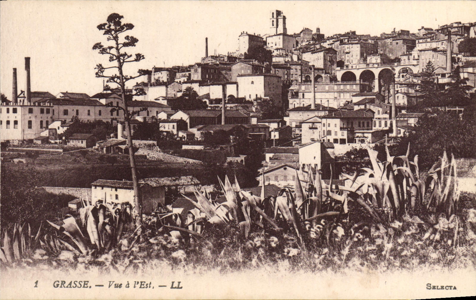 CPA Grasse Vue a l'Est
