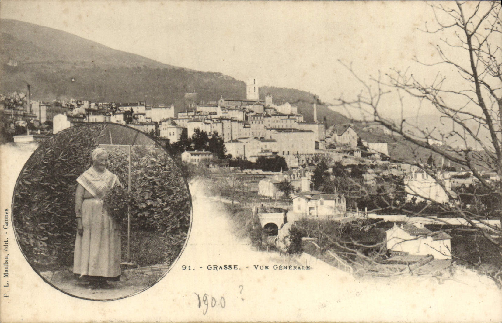 Folklore graso de la mujer de la opinión de la POSTAL de la VENDIMIA