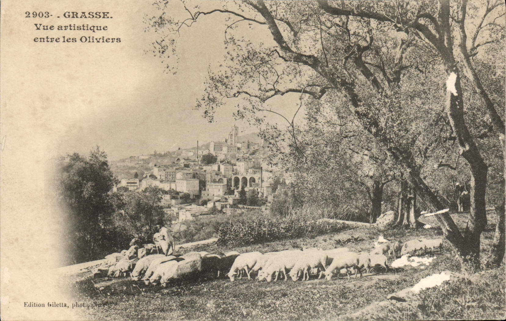 La vista artística de Grasse de la POSTAL de la VENDIMIA inscribe las ovejas de los Aceituna-árboles
