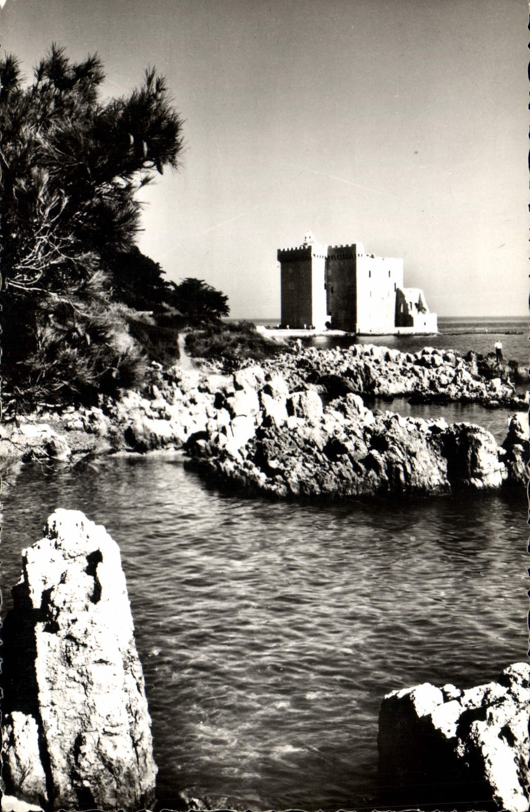 CPM Environs de Cannes Ruines du chateau fortifie de l'abbaye de Lerins
