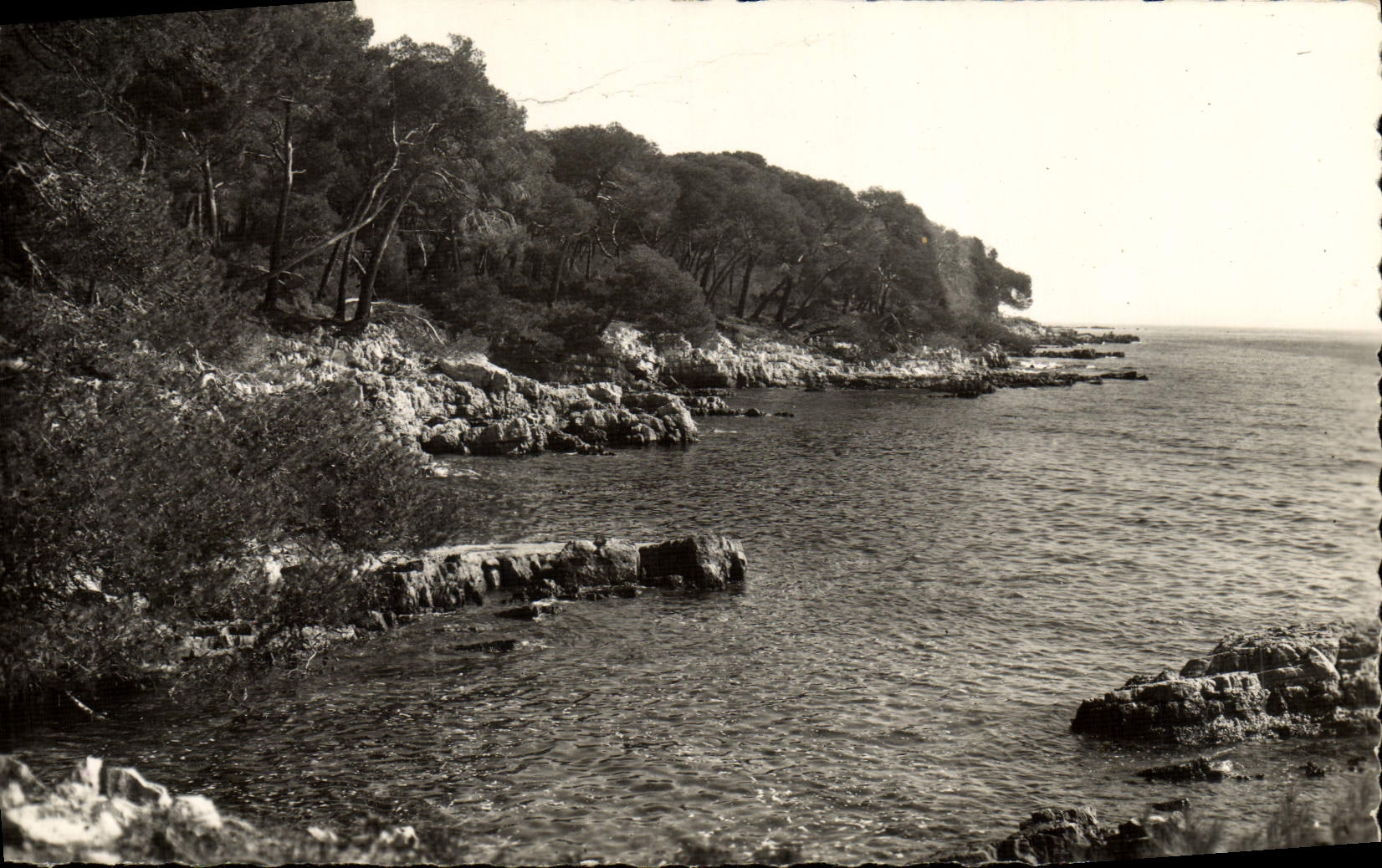 CPM lle Saint Marguerite Cannes Restaurant La Potiniere