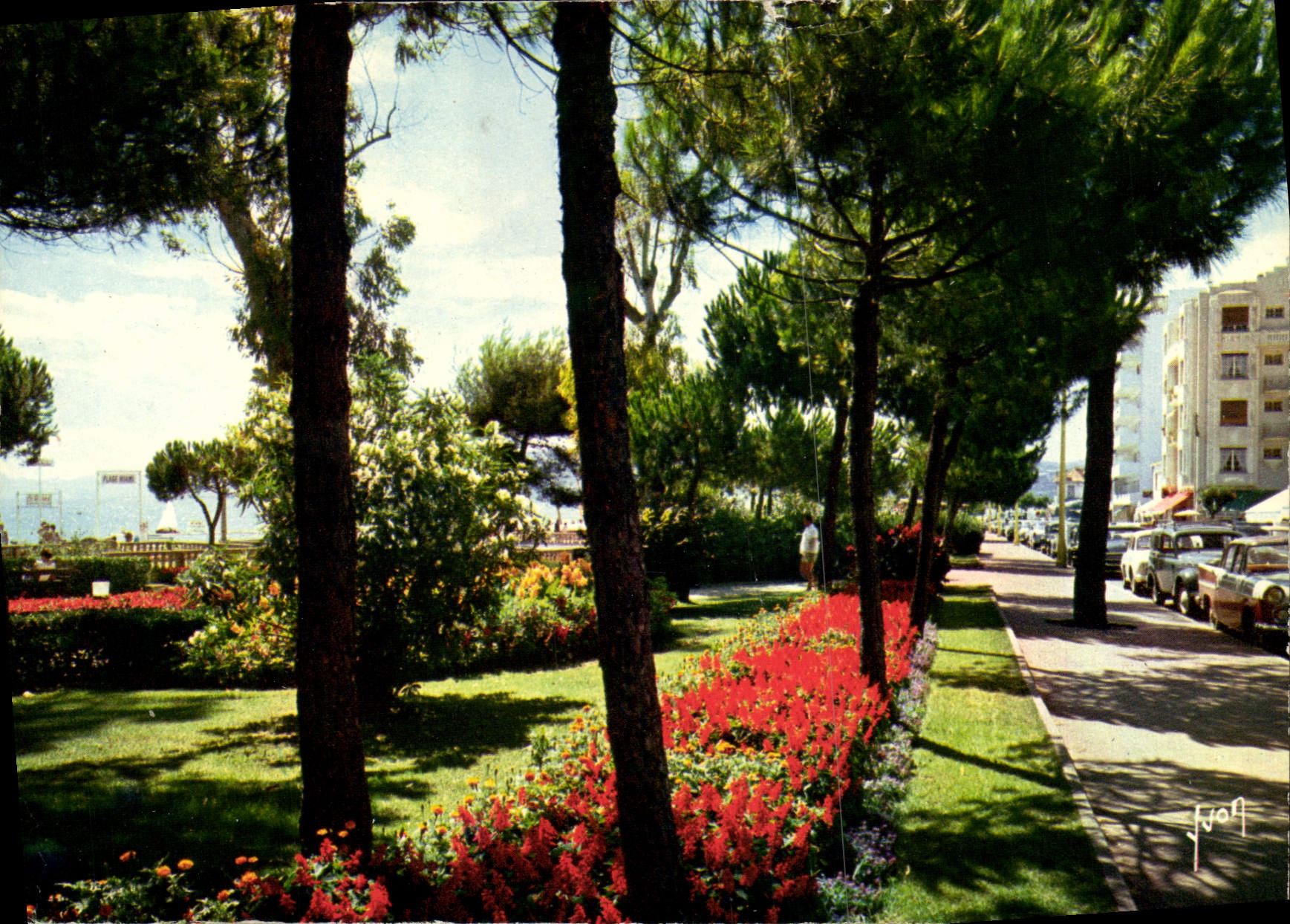 CPM Juan les Pins Le Jardin 