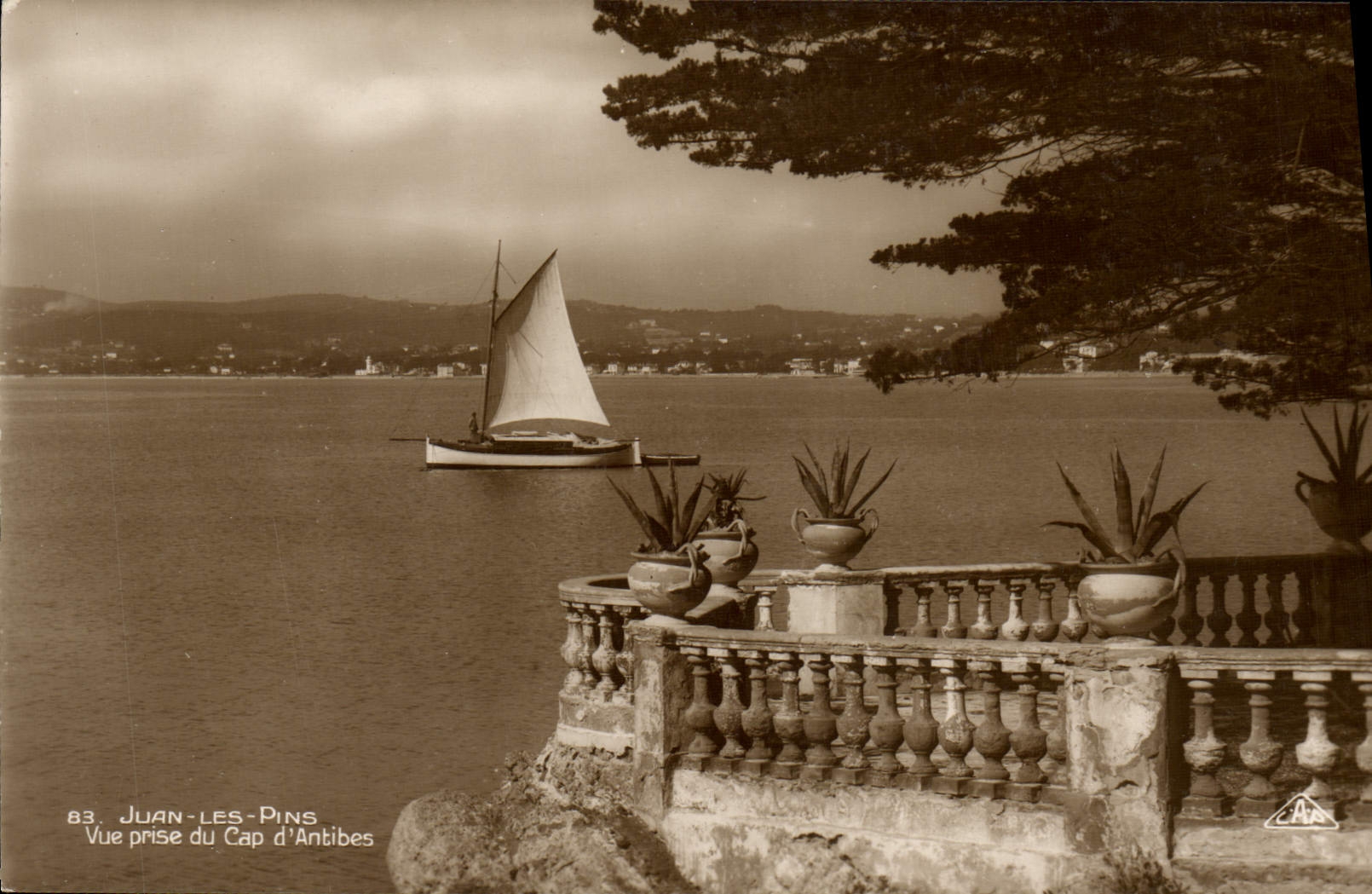 Pinos de Juan de la POSTAL de la VENDIMIA vista del d Antibes del cabo