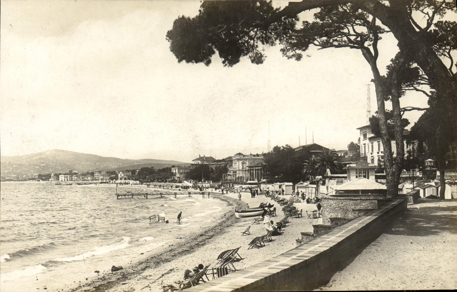 Pinos de Juan de la POSTAL de la VENDIMIA la playa vista de las terrazas del bosque del pino