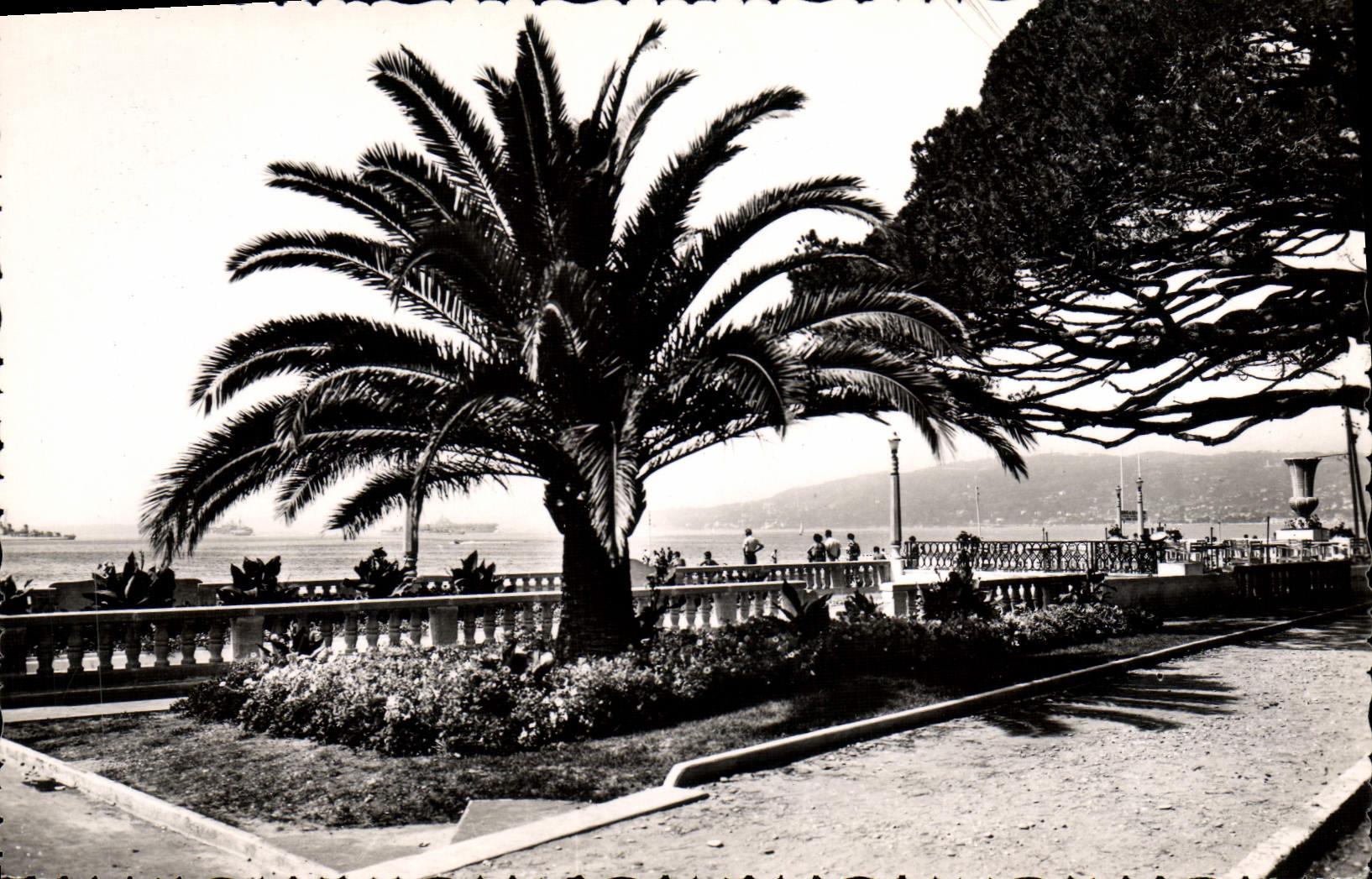 CPA Juan les Pins Un Coin des nouveuax Jardins 