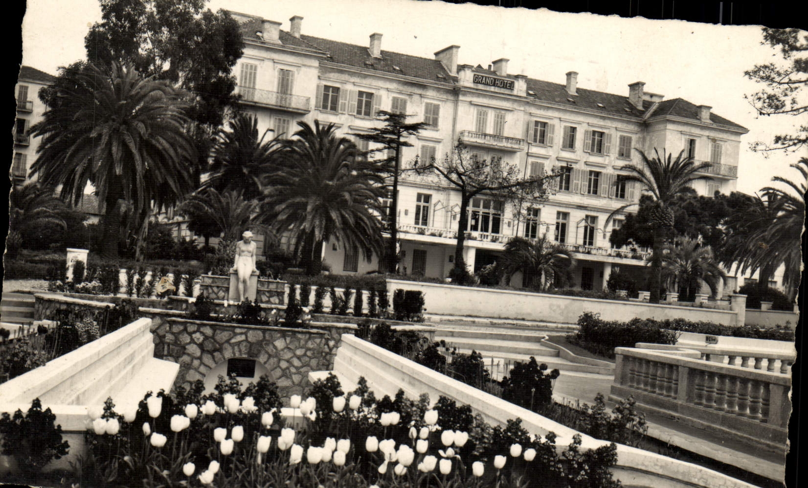 Pinos de Juan de la POSTAL de la VENDIMIA el hotel grande