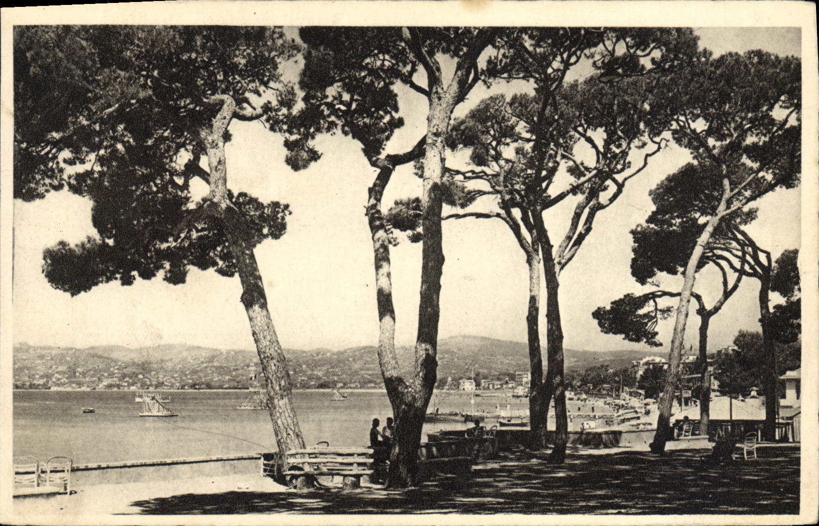CPA Juan les Pins Vue sur le Golfe Juan depuis la Pinede 