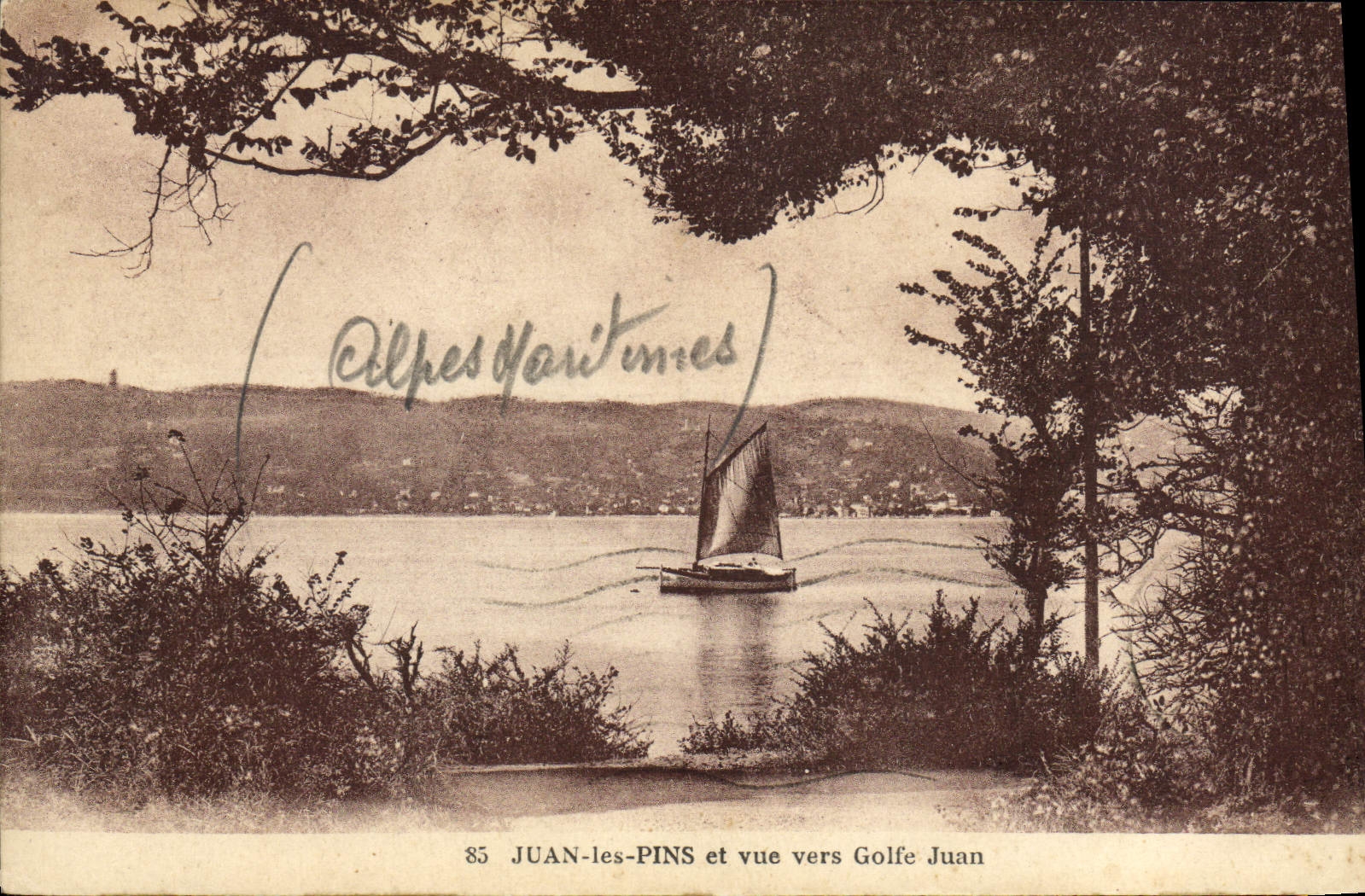 Pinos y vista de Juan de la POSTAL de la VENDIMIA hacia el barco de Juan del golfo