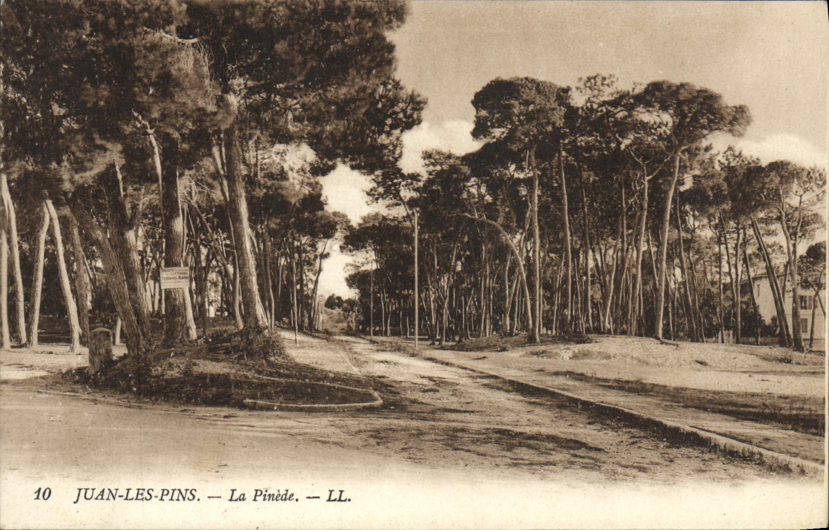 CPA Juan les Pins La Pinede 
