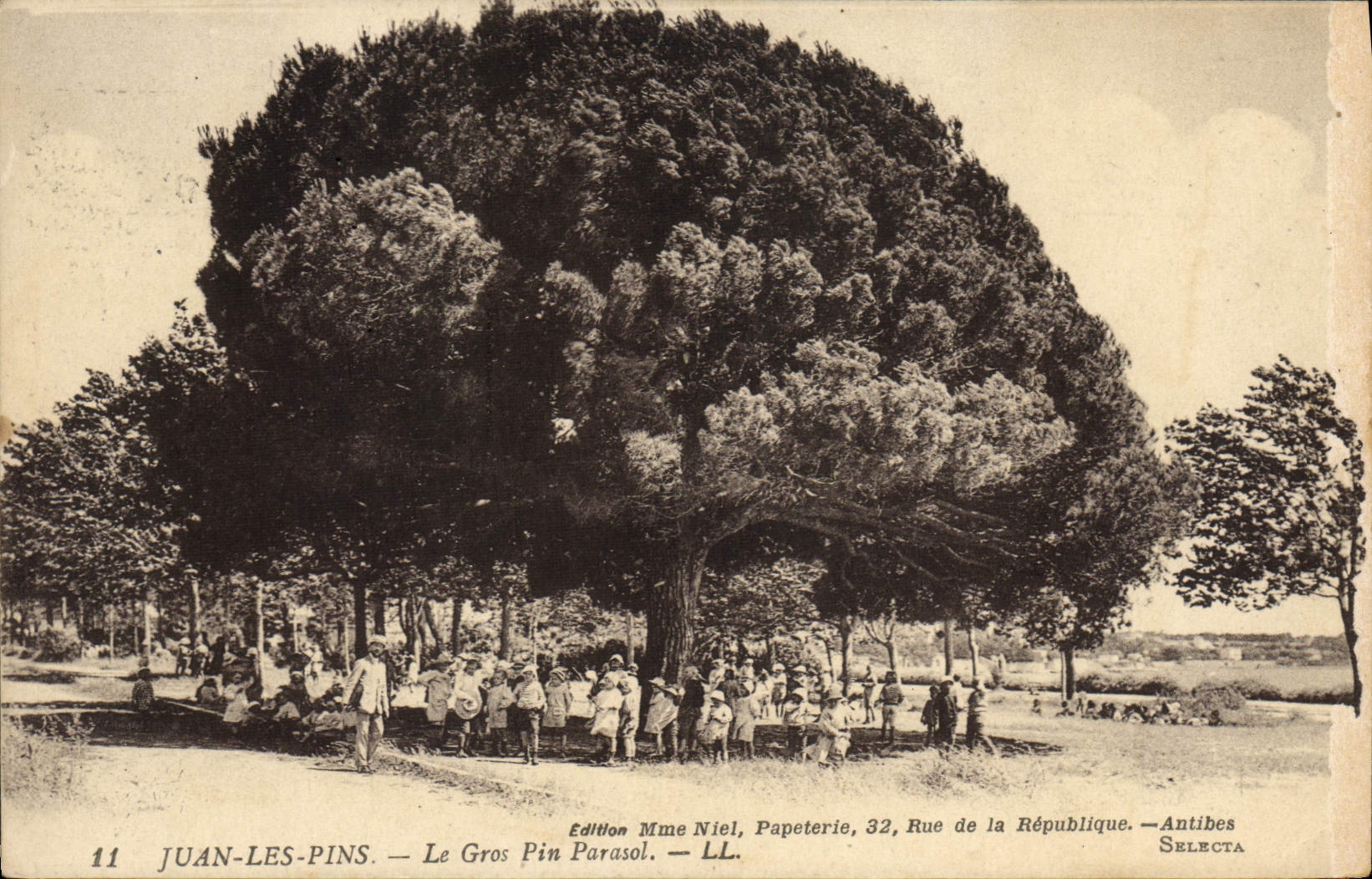 CPA Juan les Pins Le Gros Pin Parasol Enfants