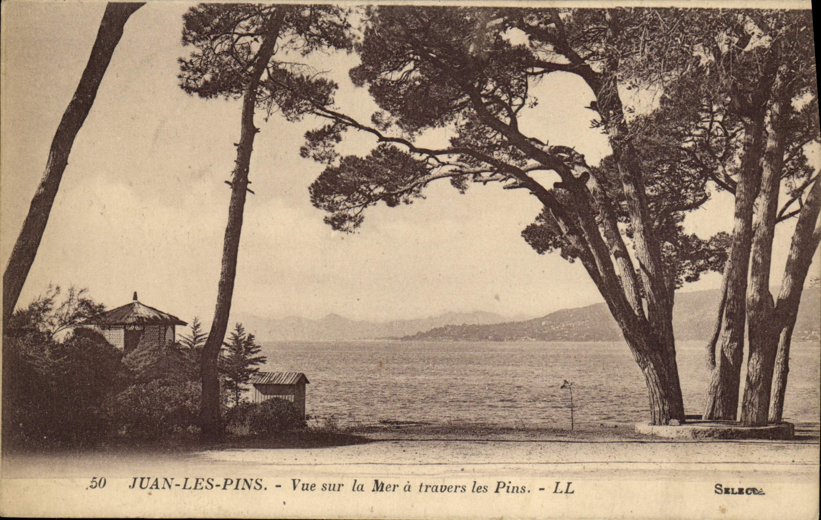 Pinos de Juan de la POSTAL de la VENDIMIA vistos en el mar a través de los pinos