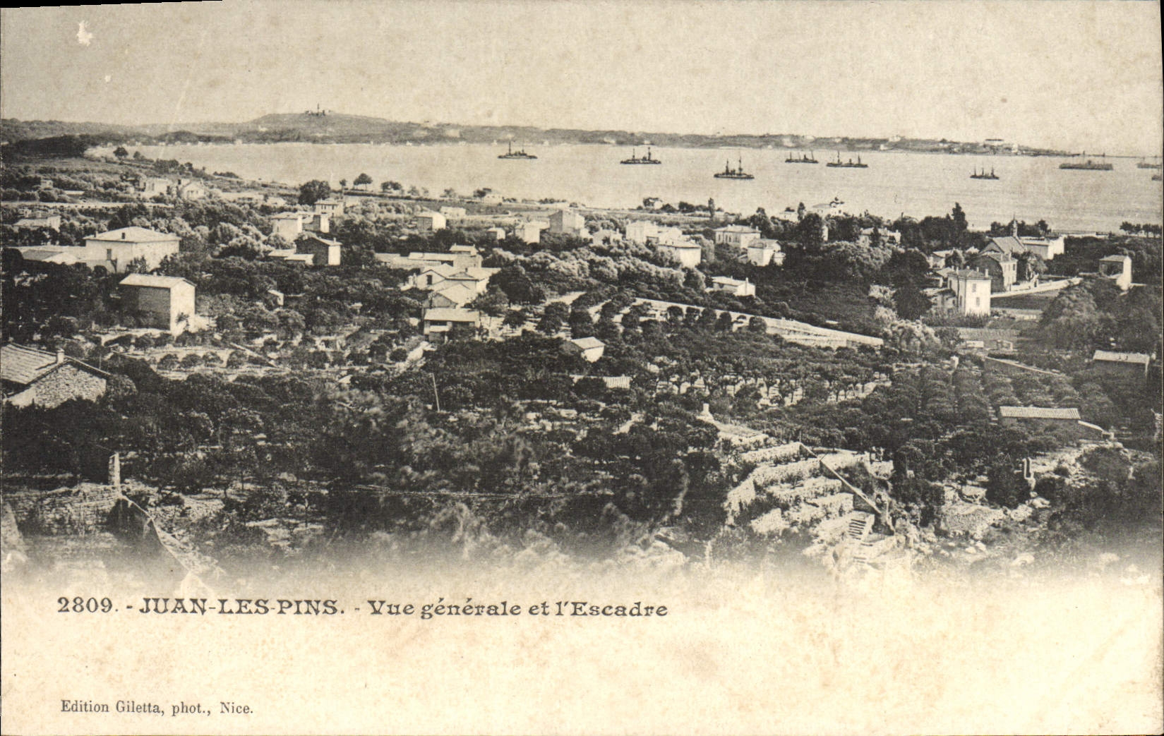 Opinión de los pinos de Juan de la POSTAL de la VENDIMIA y la escuadrilla