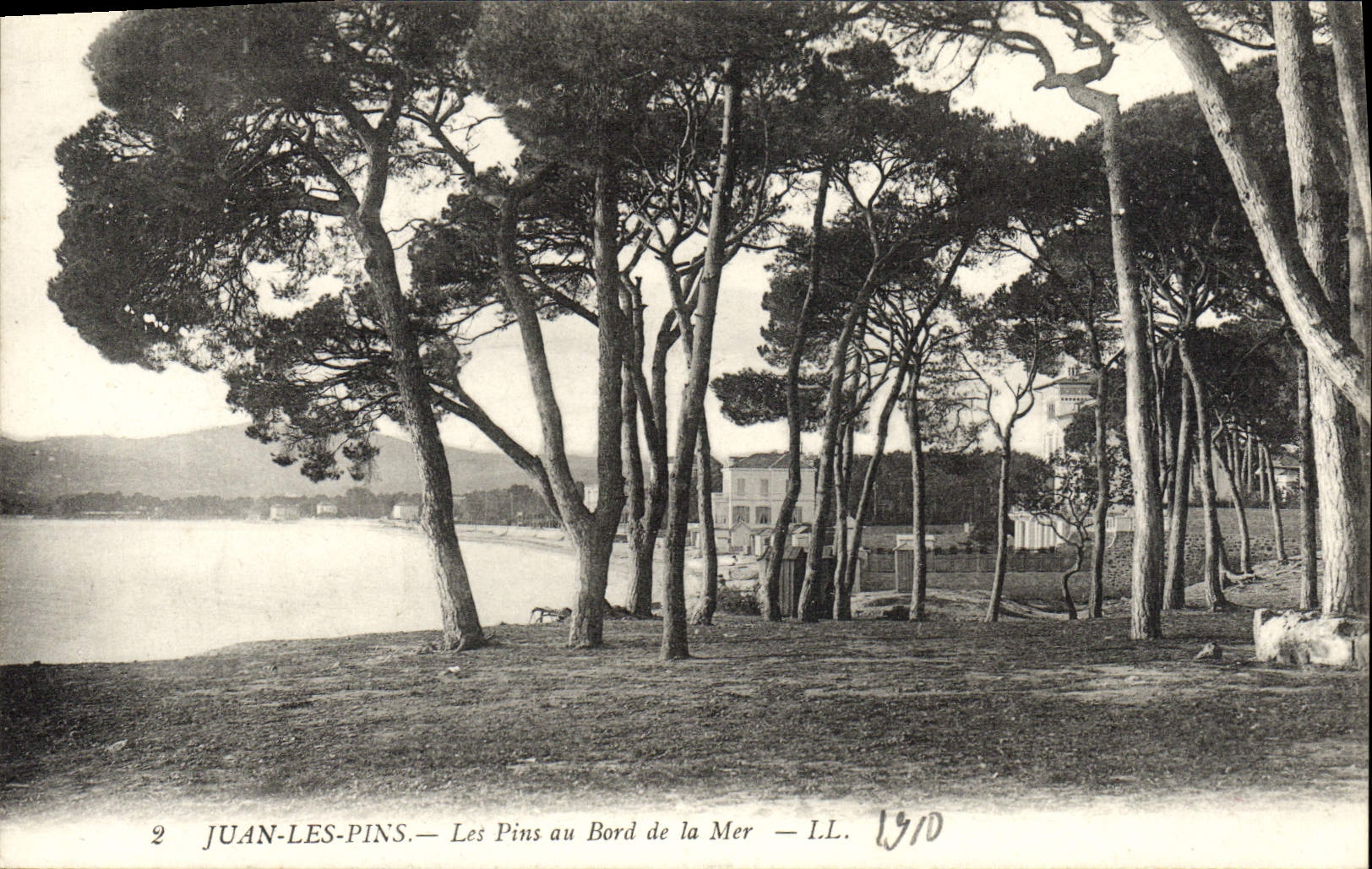 CPA Juan les Pins Les Pins au Bord de la Mer 