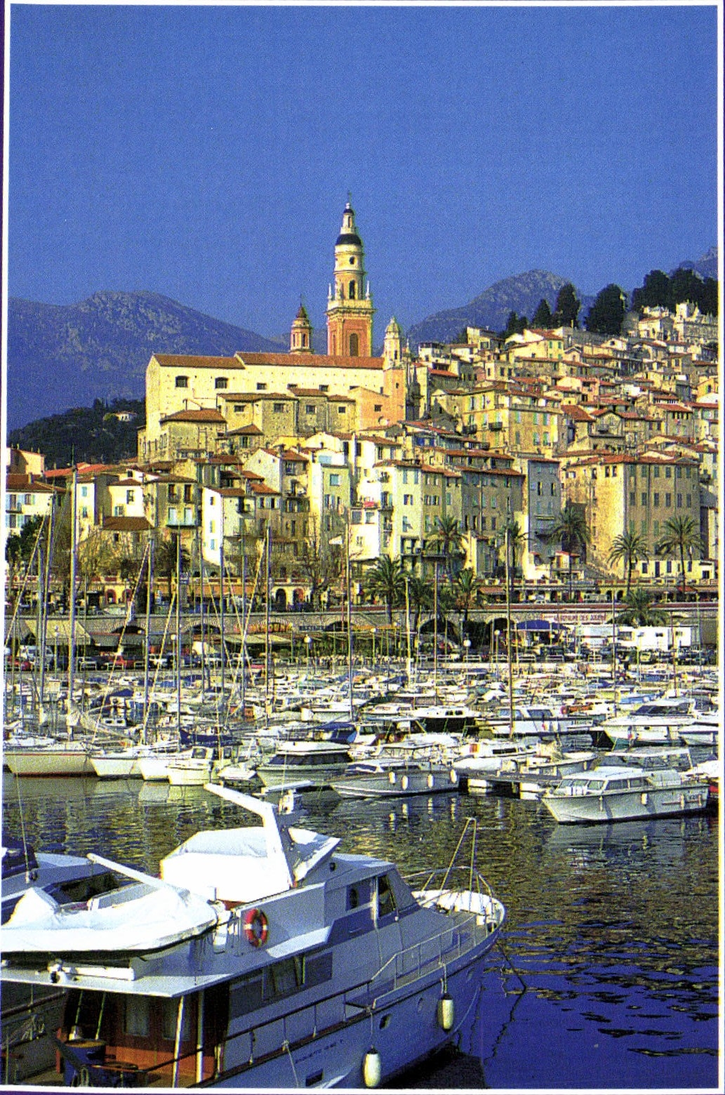 CPM Menton Cote D'Azur La vieille ville 