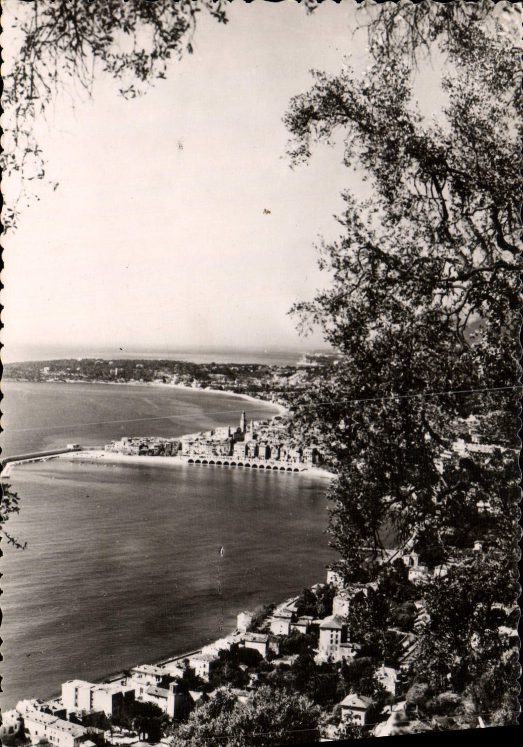 De la VENDIMIA de la POSTAL opinión y el cabo Martin Menton