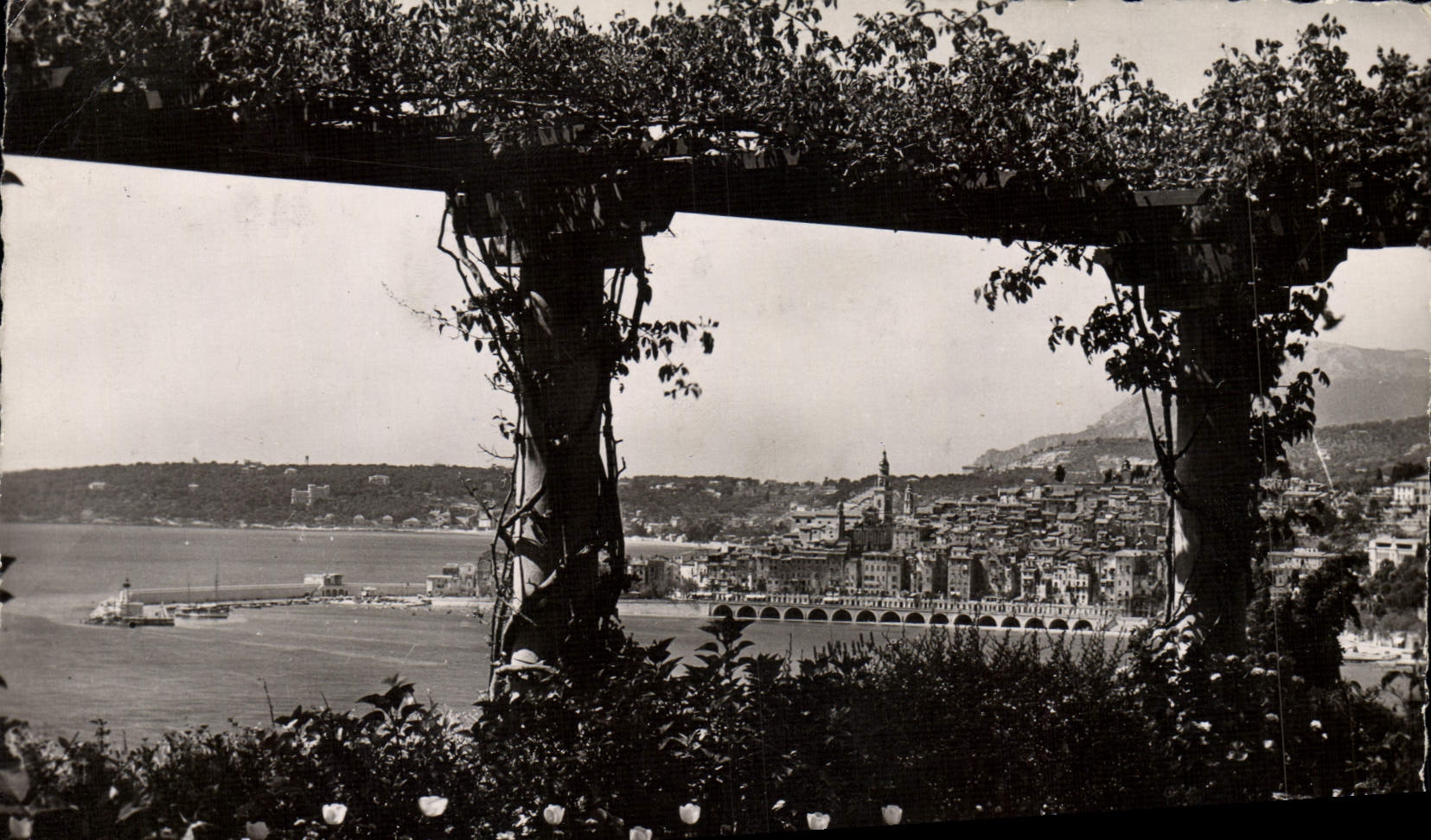 La POSTAL de la VENDIMIA Menton y el cabo Martin entra en las pérgolas
