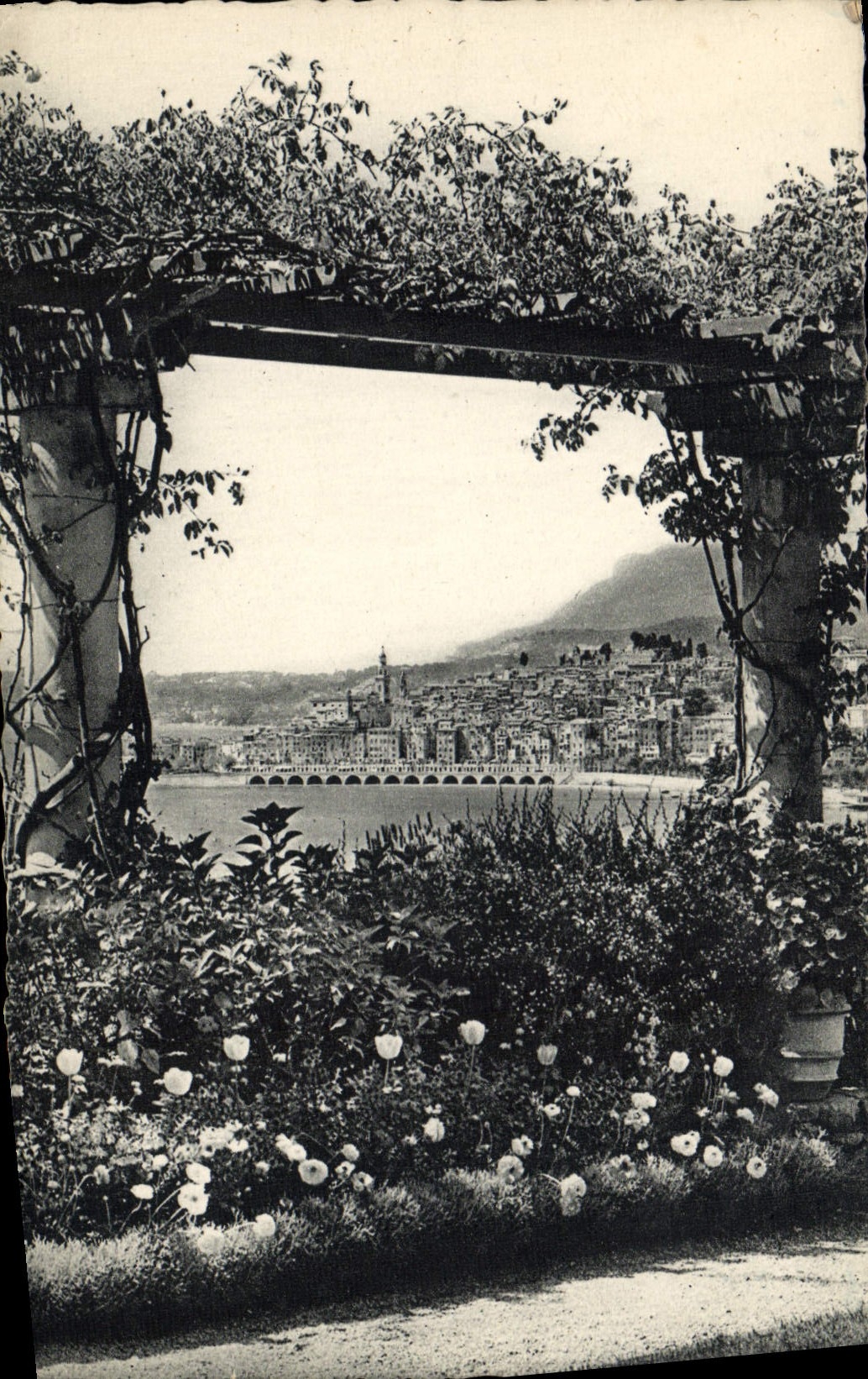 POSTAL de la VENDIMIA Menton entre las pérgolas