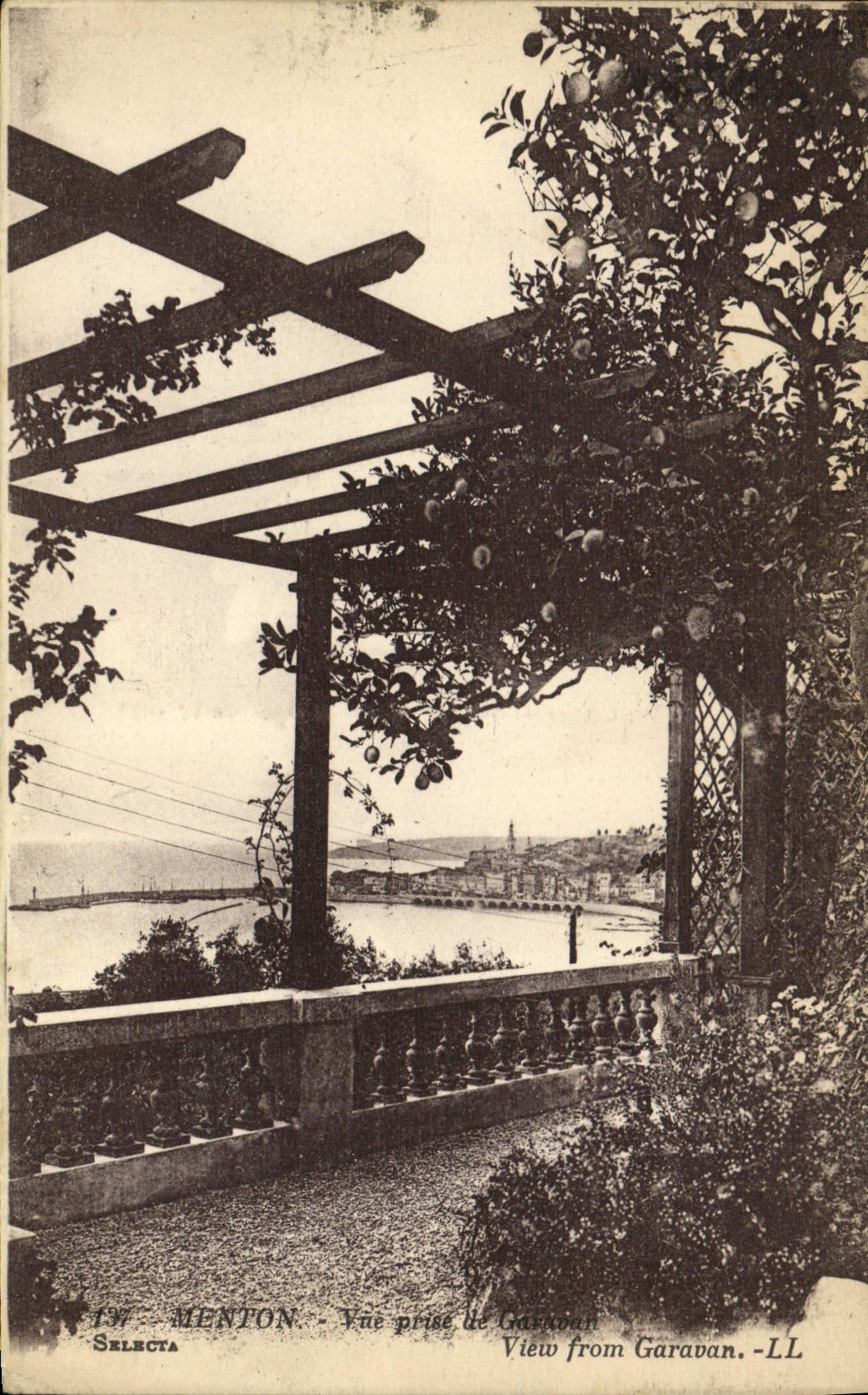 CPA Menton Vue prise de Garavan
