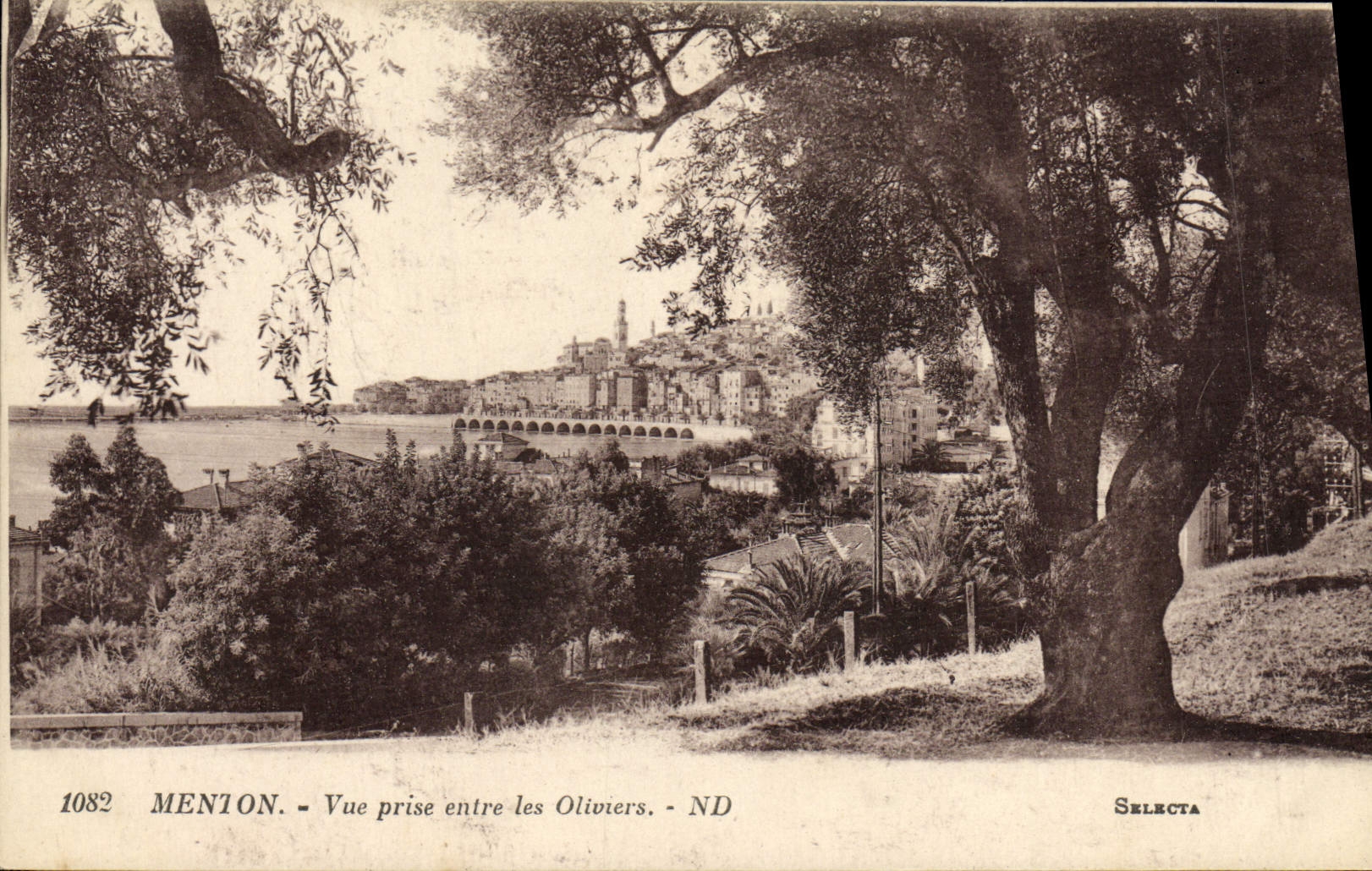 VINTAGE POSTCARD Menton Seen from Between the Olive-trees