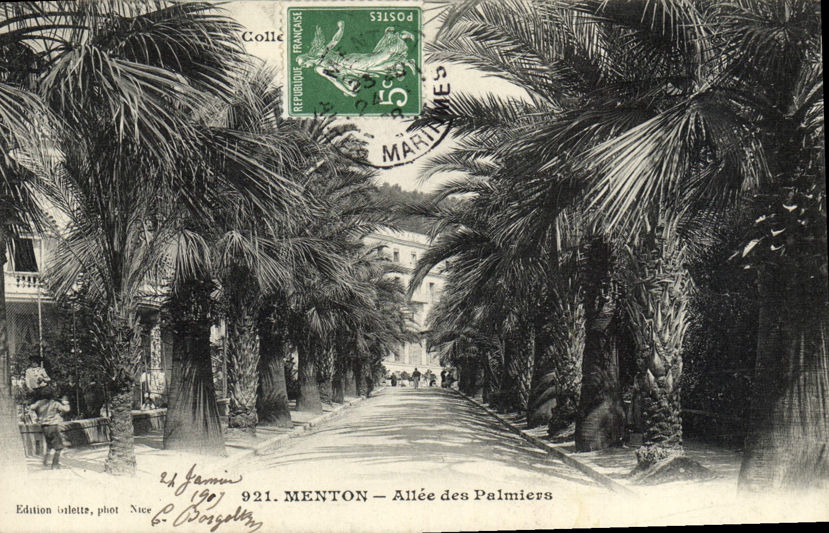 CPA Menton Allee Des Palmiers