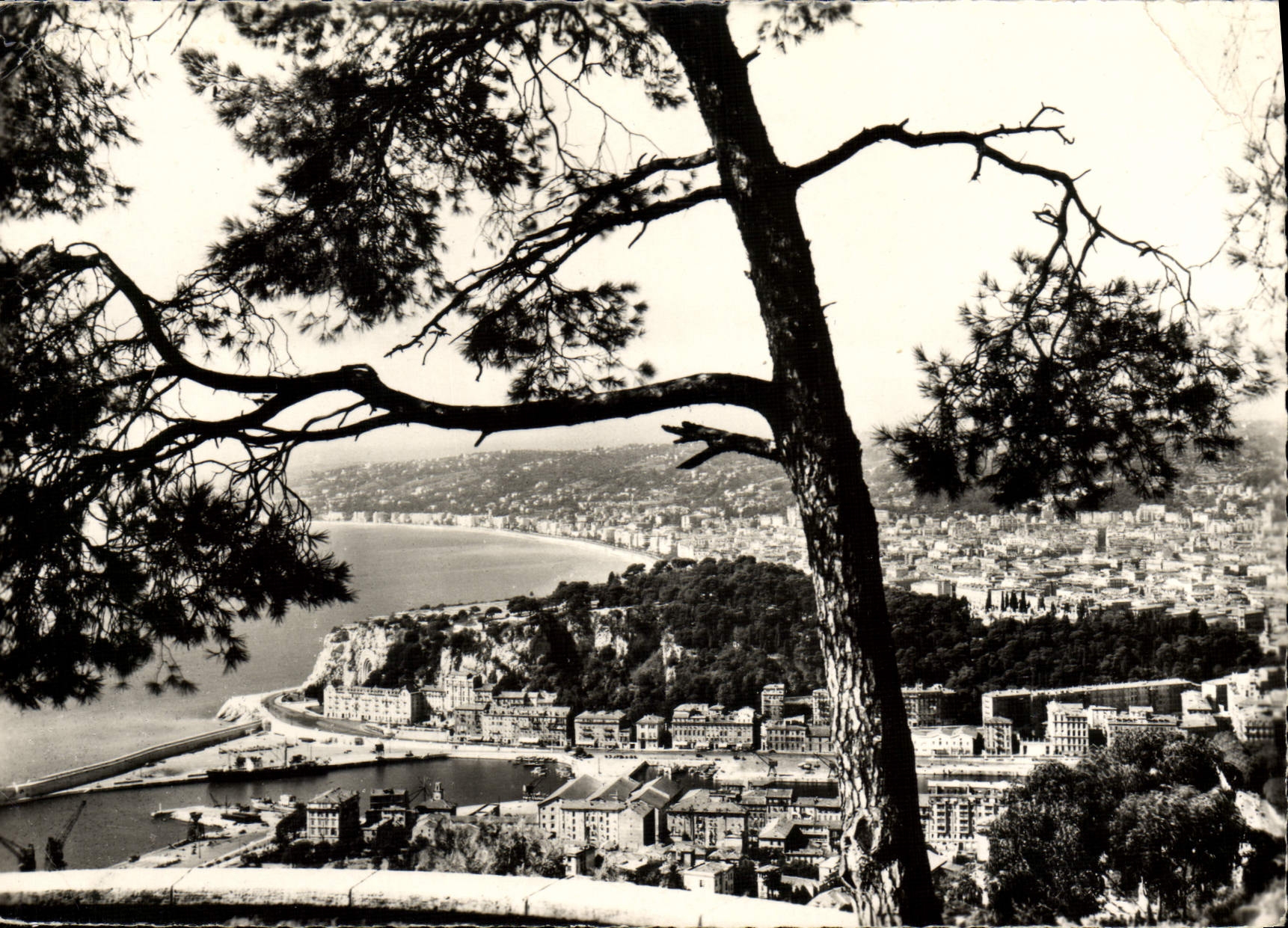 CPA Nice Vue Generale